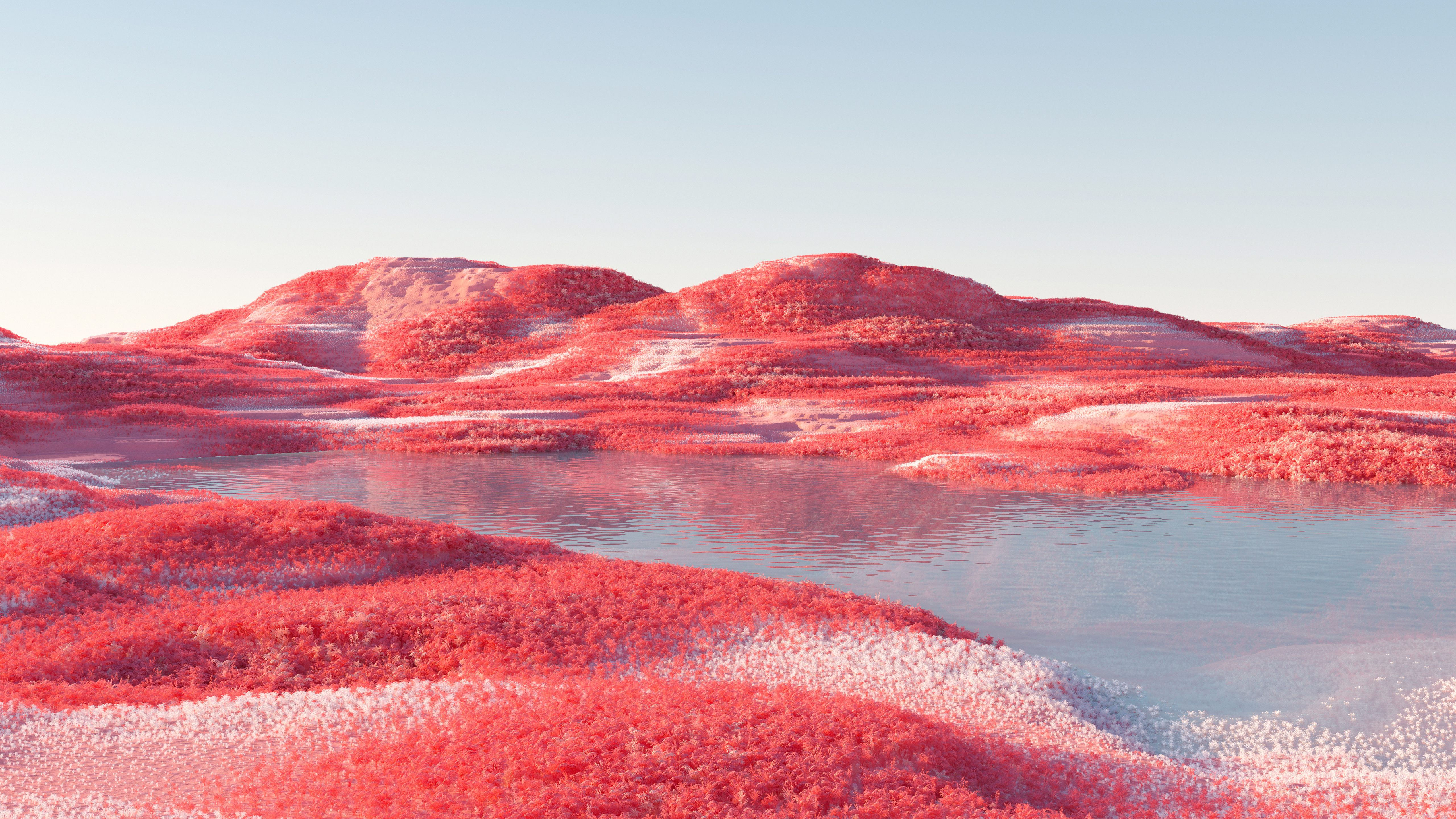 绝美风景 自然 植物 水 倒影 抽象 CGI 桌面壁纸 5120×2880