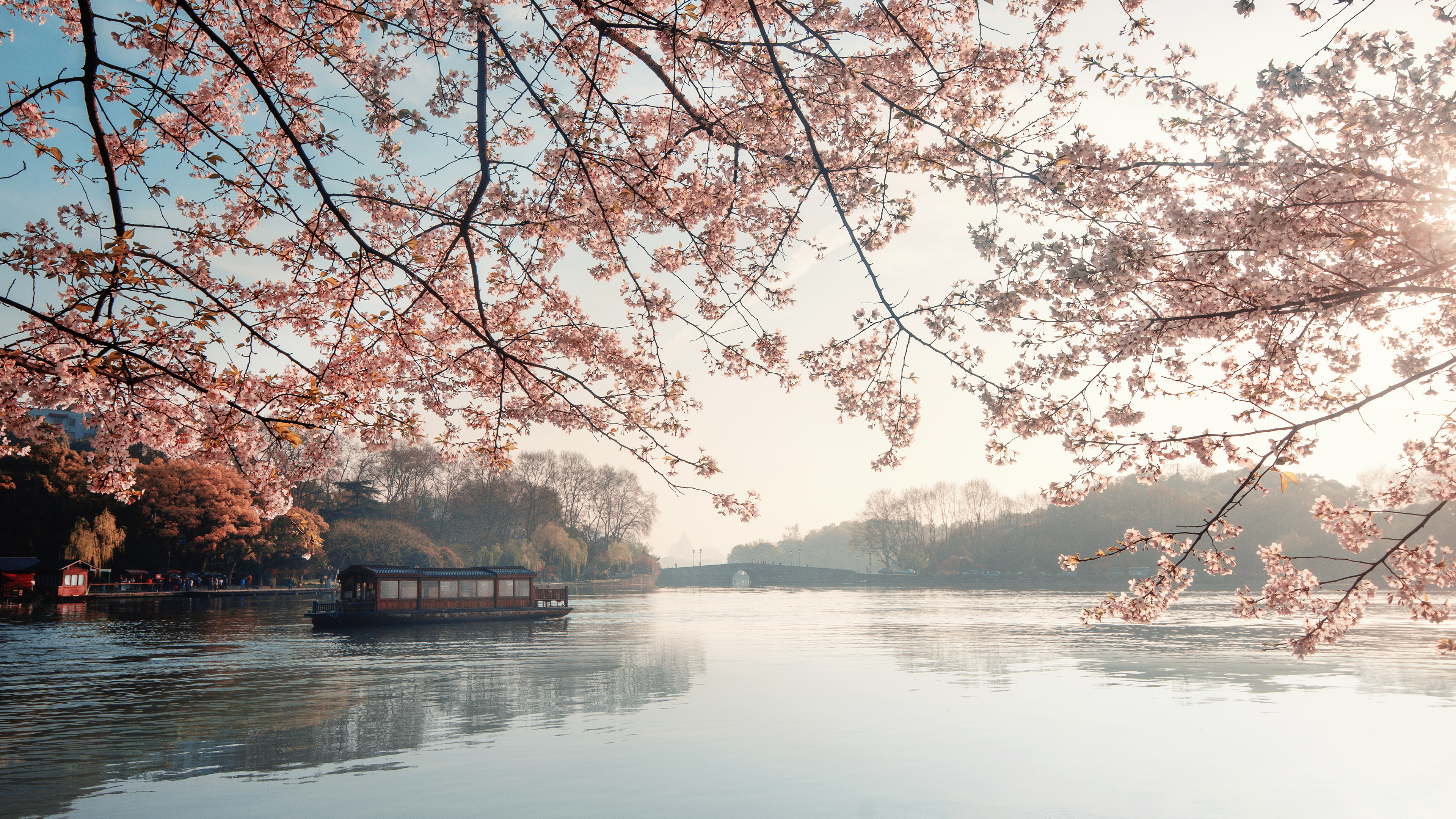 春天 湖畔 樱花 游船 湖泊 水面 倒影 4K高清壁纸 3840×2160