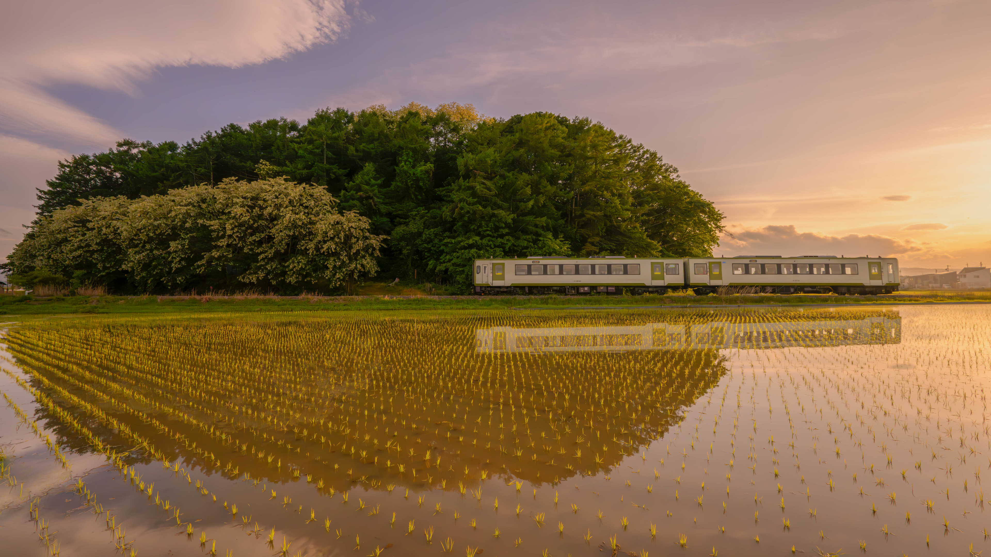 自然 风景 树木 云朵 天空 稻田 水面 铁路 火车 阳光 倒影 壁纸 3840×2160