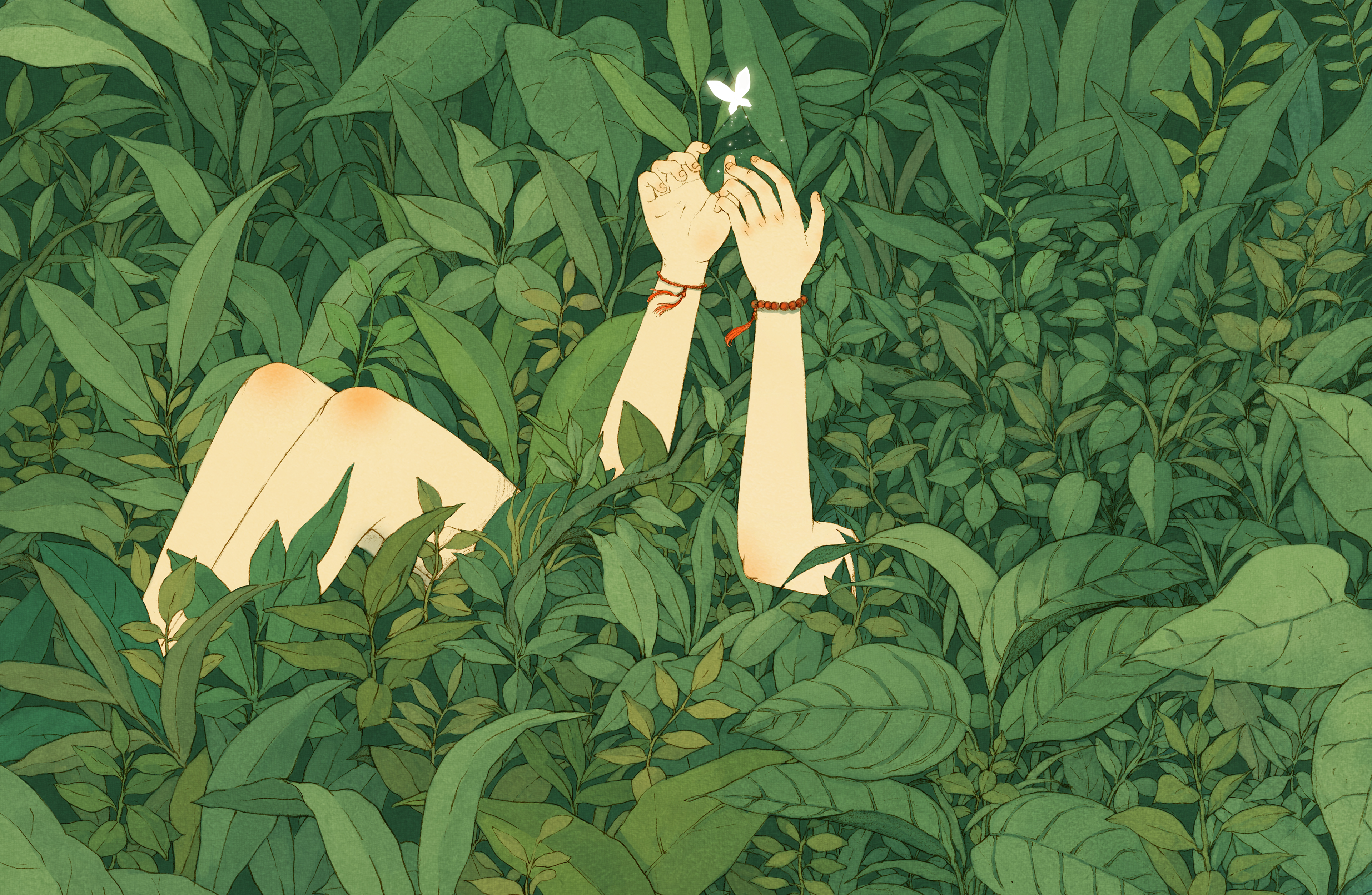 热门腿 蝴蝶 手臂 手镯 草 叶子 高清壁纸 3840×2507
