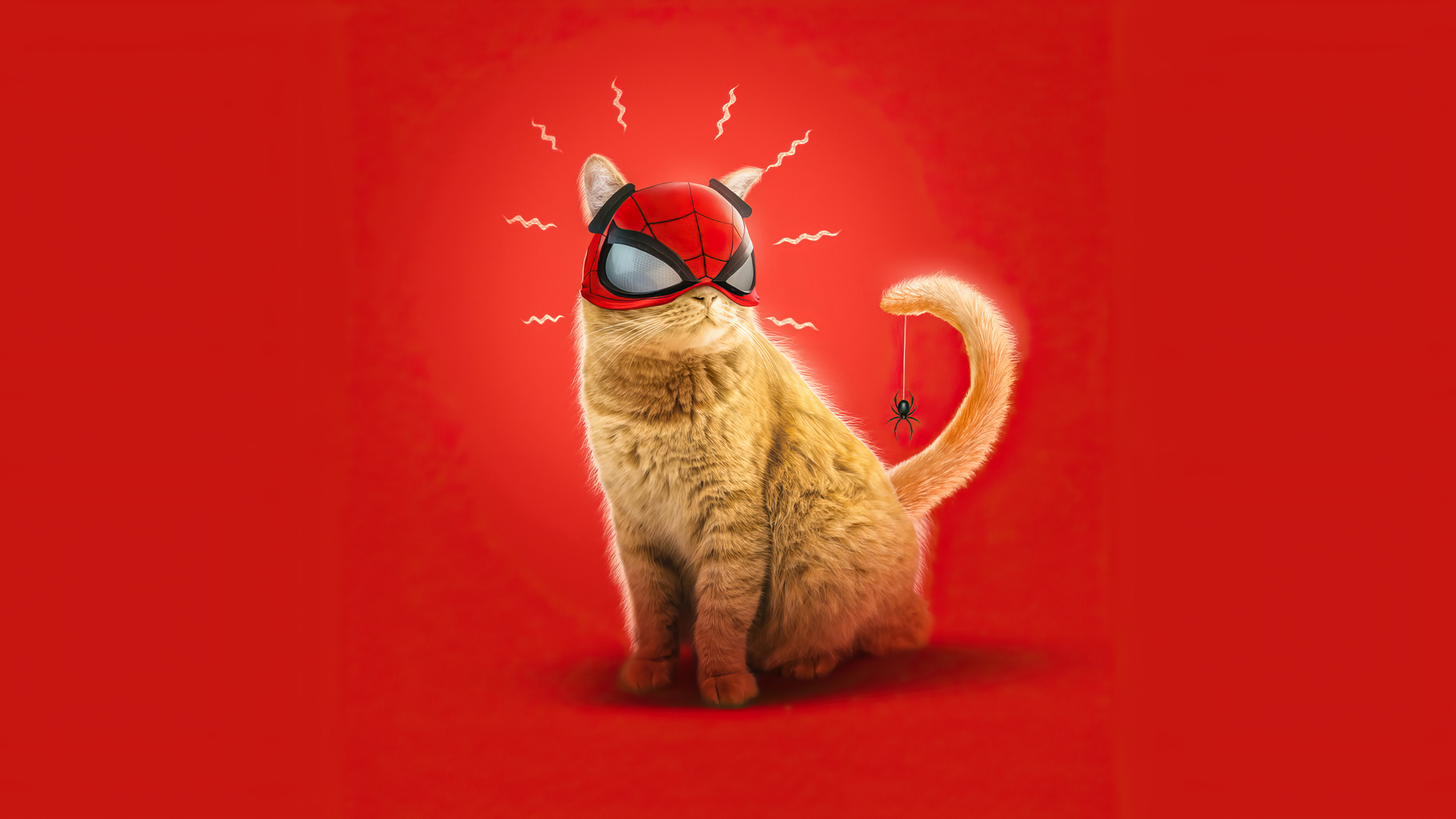 经典游戏CG 猫咪 4K壁纸 3840×2160