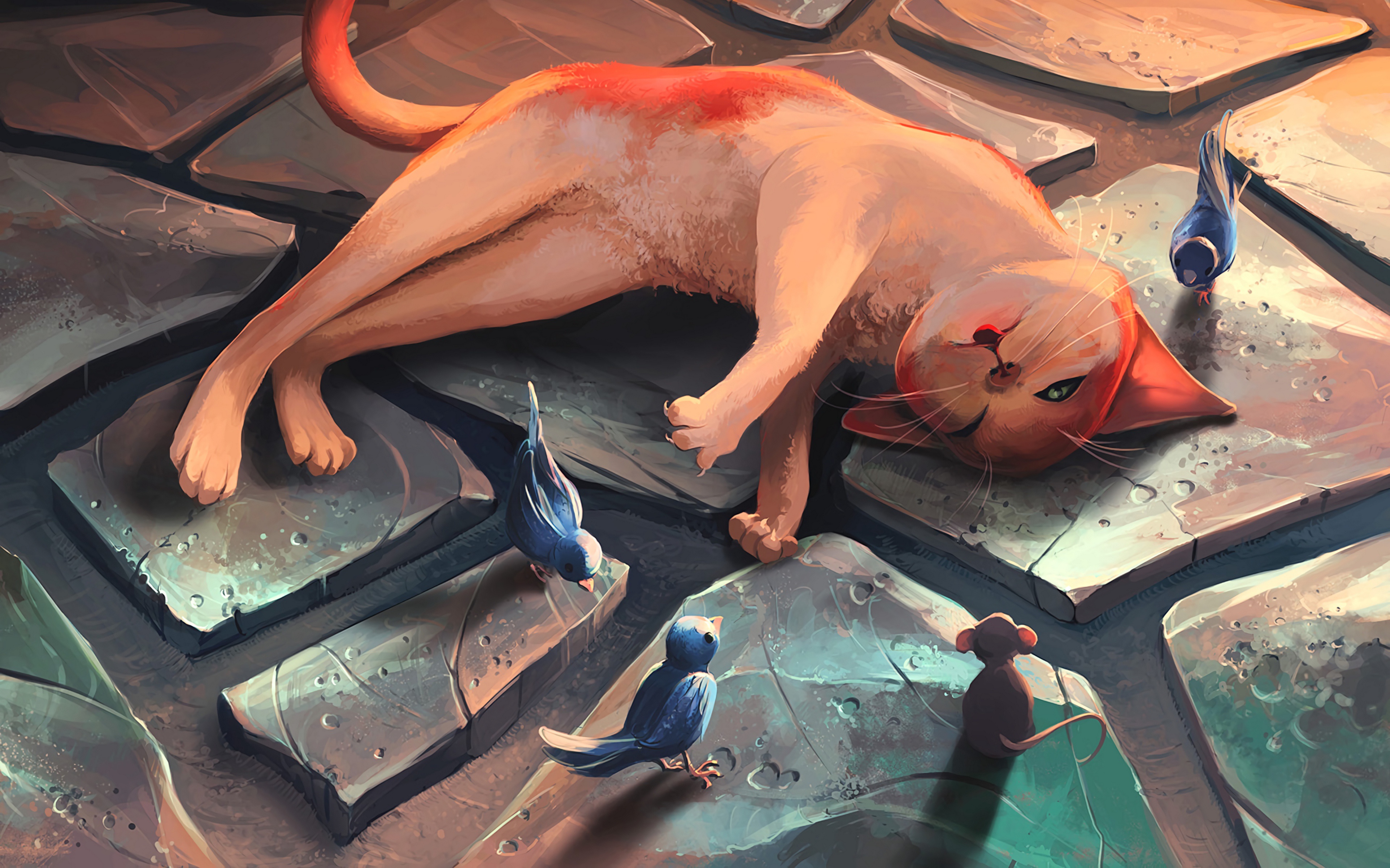 动物 鸟类 猫 哺动物 壁纸 3840×2400
