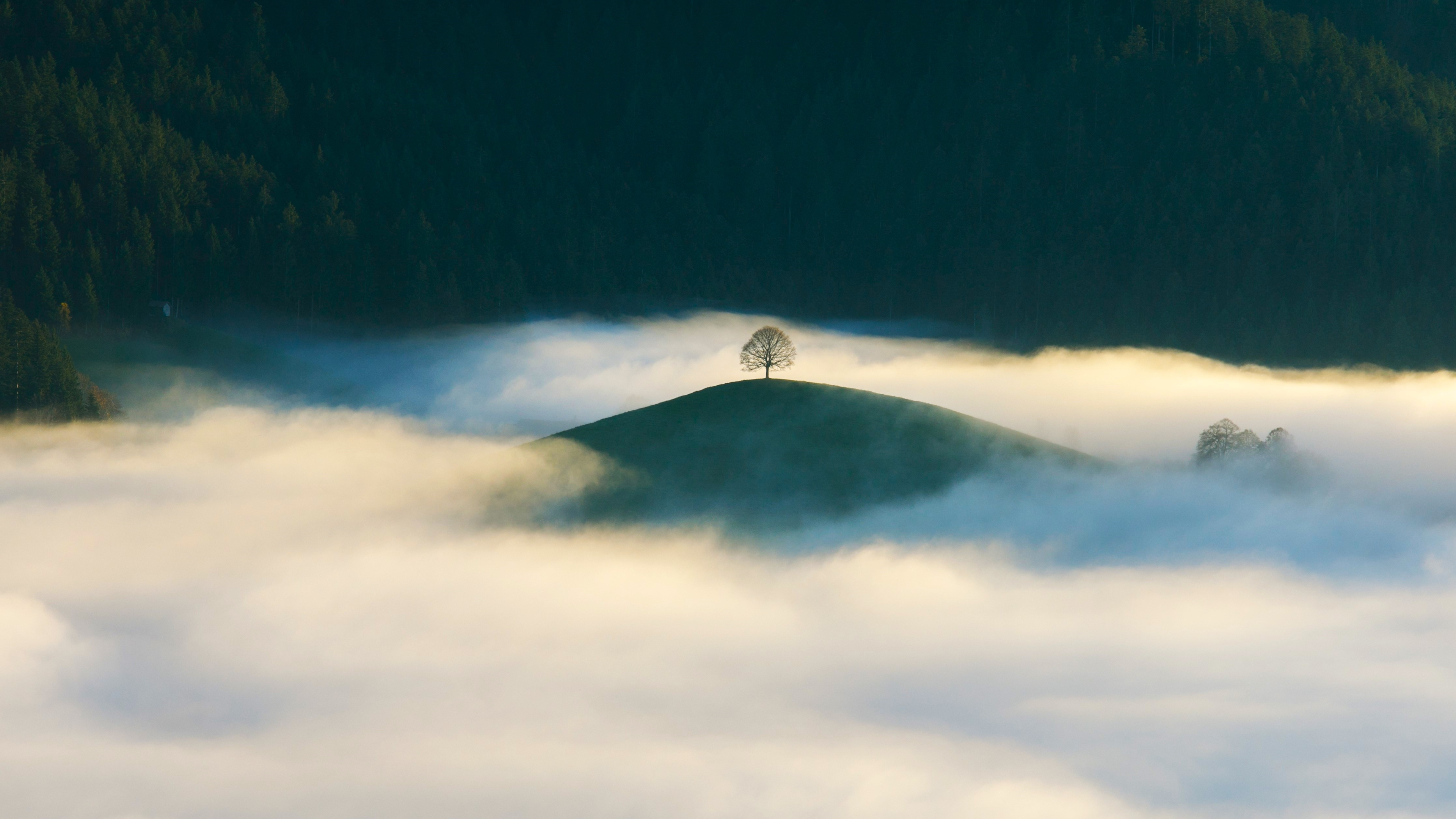 自然 景观 树木 森林 山丘 云 壁纸 3840×2160