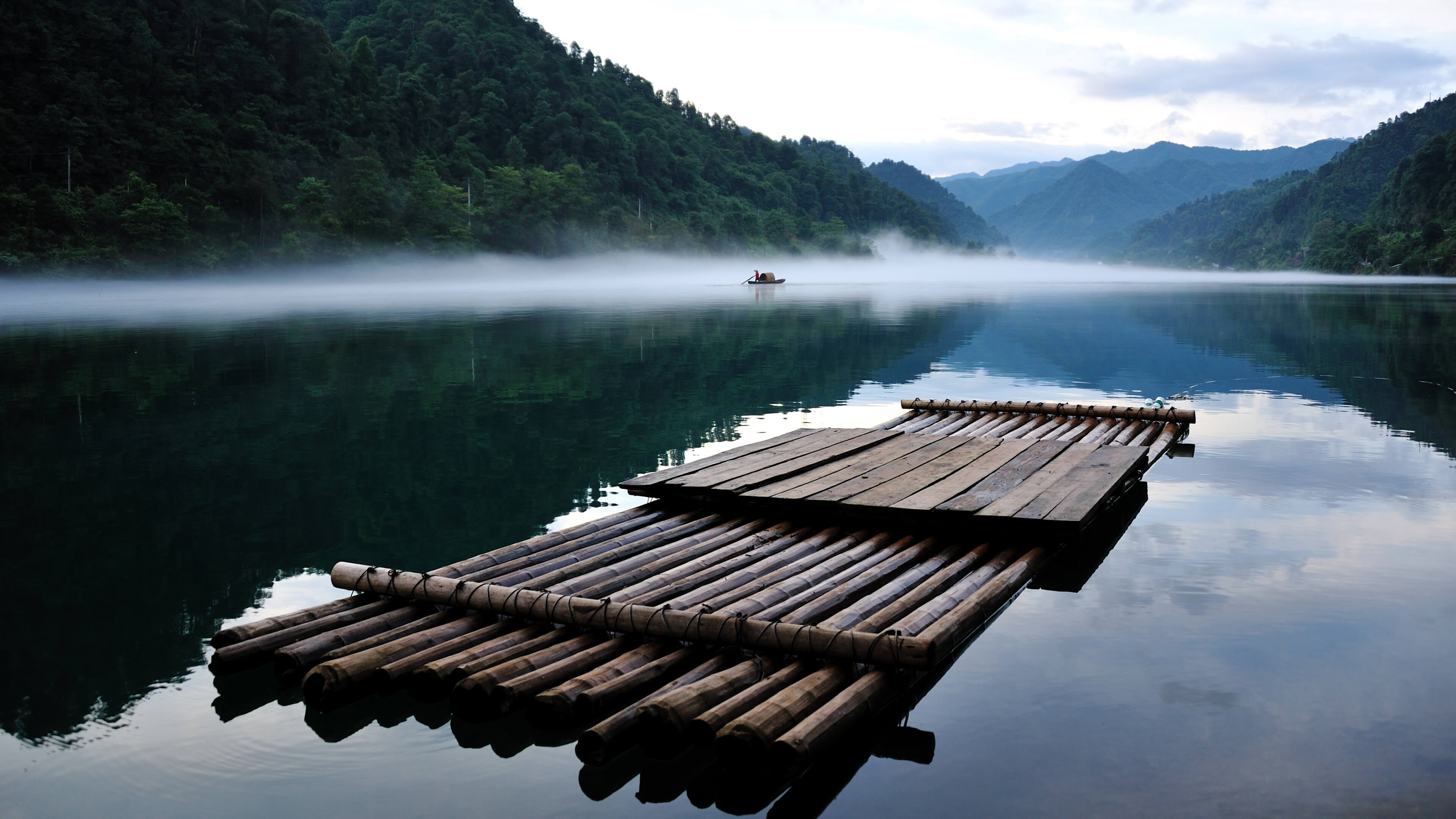 热门竹子 丛林 风景 自然 壁纸 3840×2160