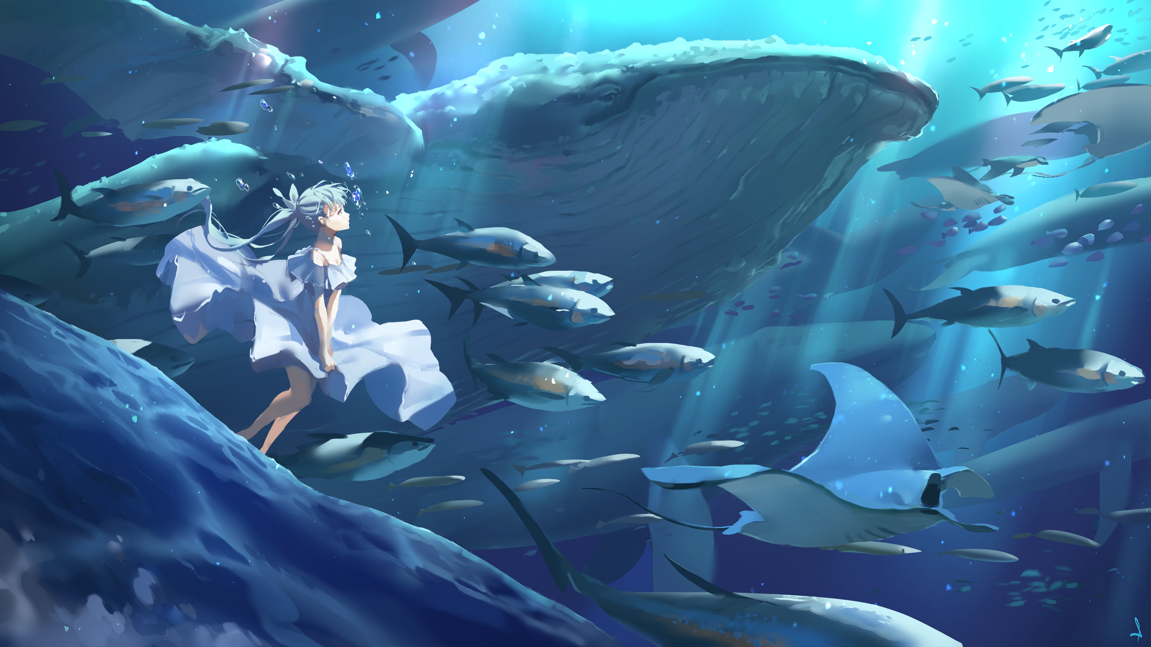 原创 人物 长发 蓝色头发 女孩 动漫 海洋 鱼 水下 鲸鱼 服装 4K高清壁纸 3840×2160