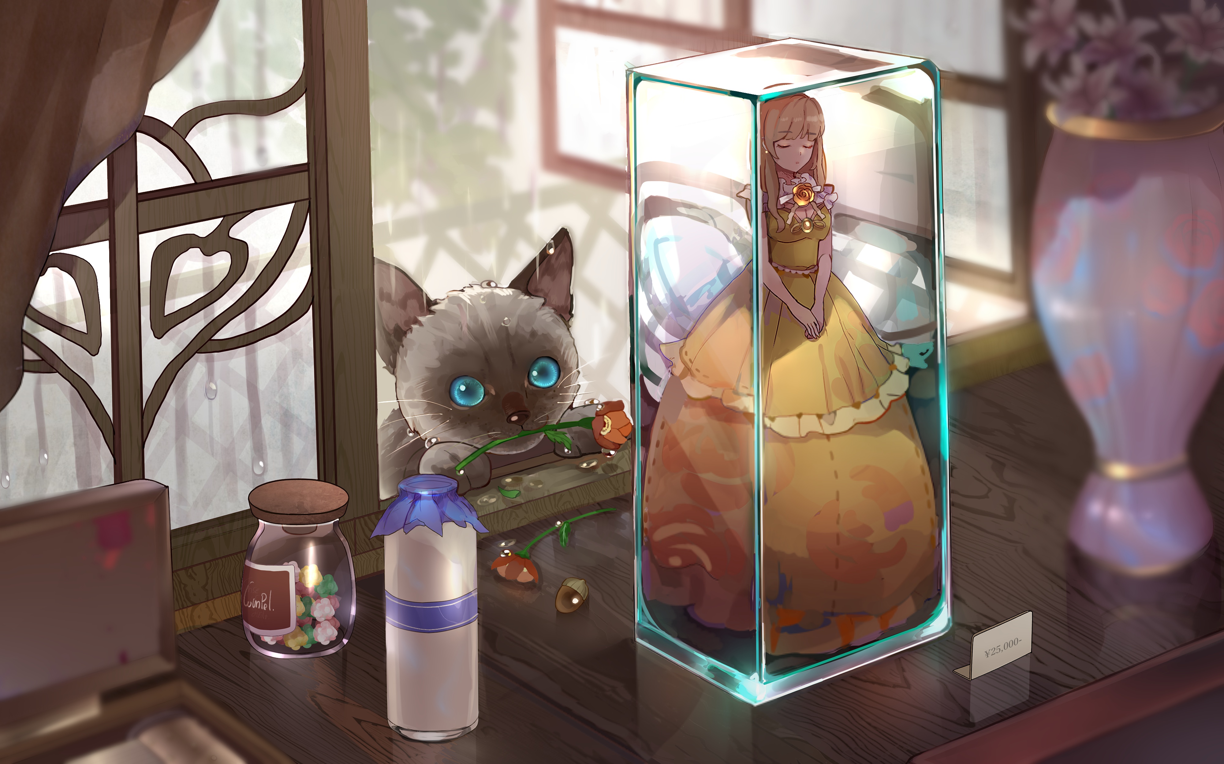 精选董 猫 花 雨 娃娃 壁纸 4000×2497