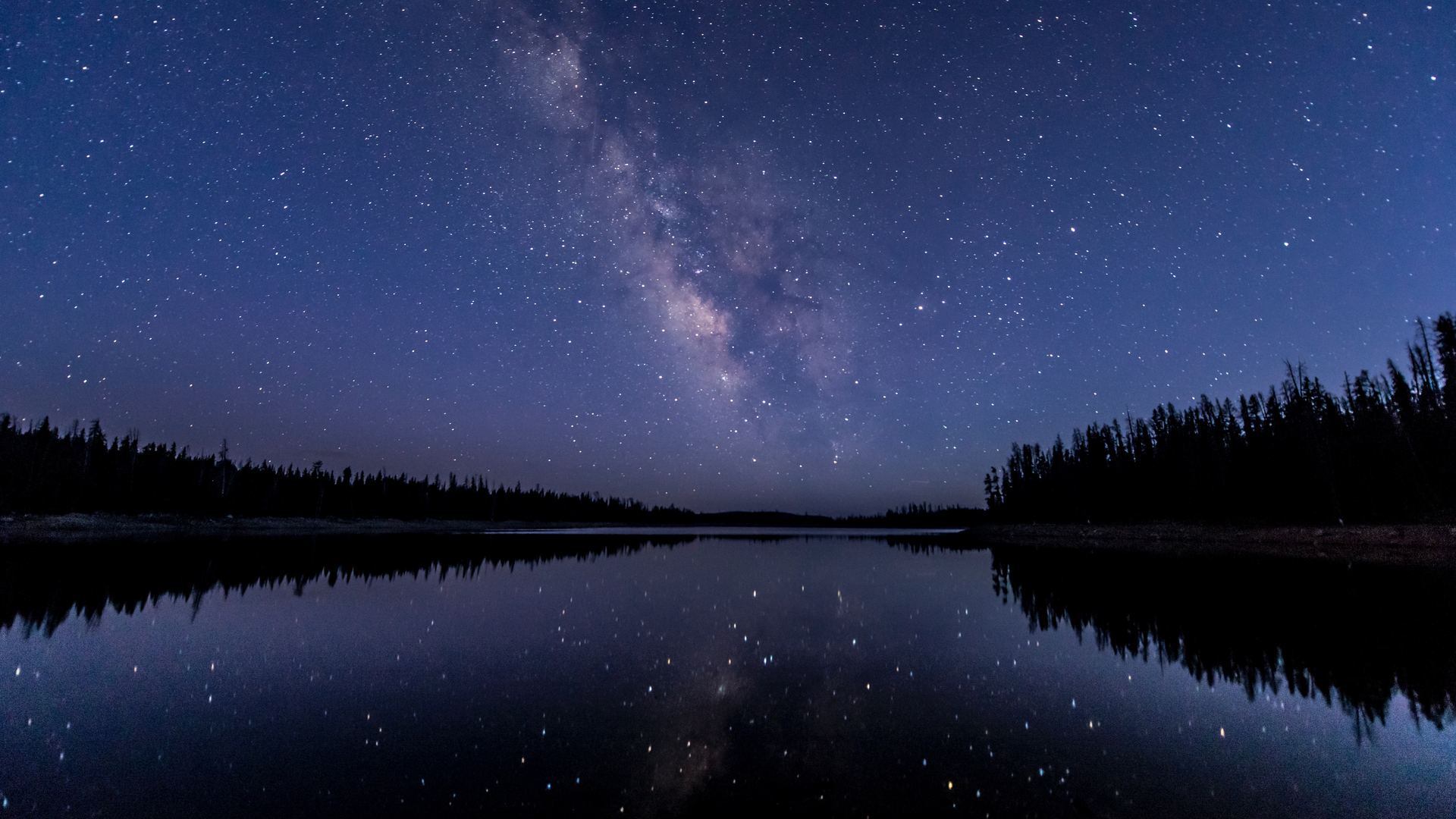 水 倒影 星夜 星星 森林 壁纸 6016×4016