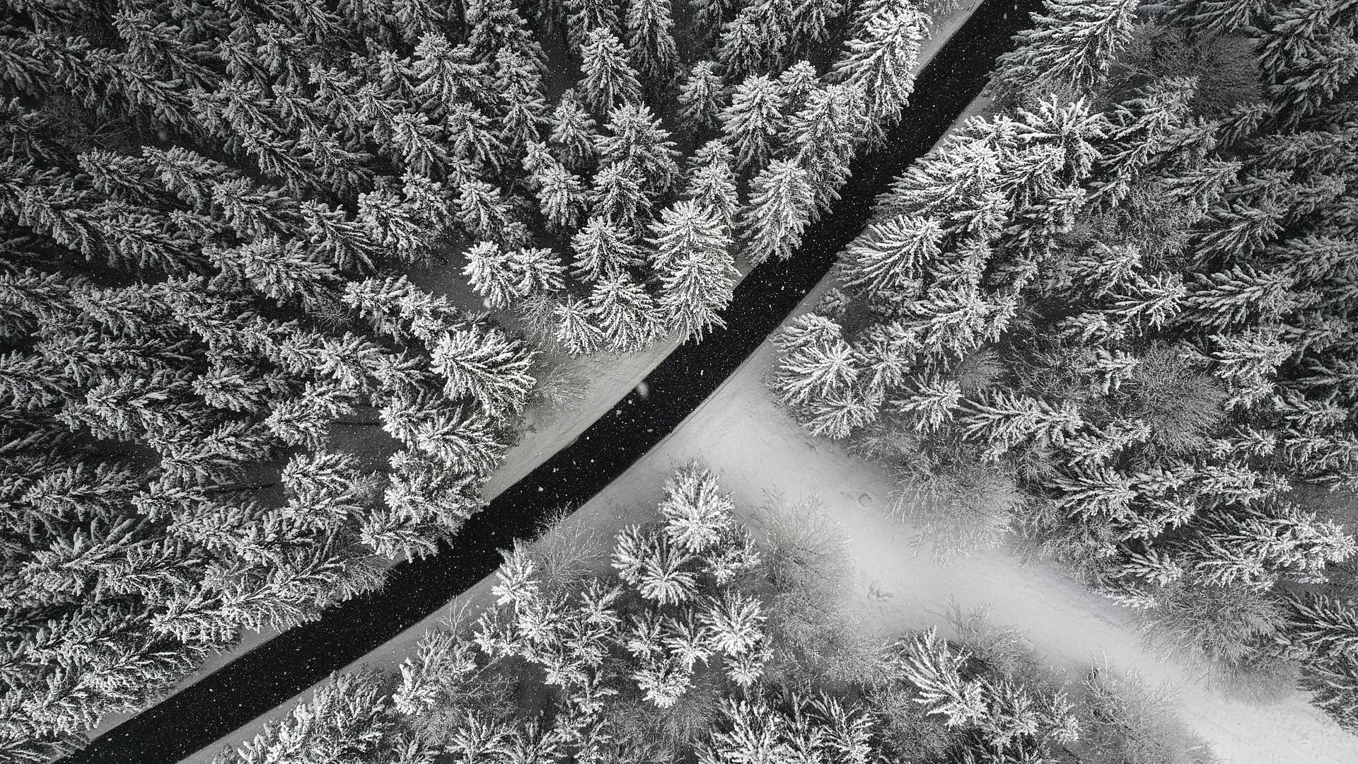 精选自然 摄影 风景 森林 道路 雪 树 壁纸 3968×2976