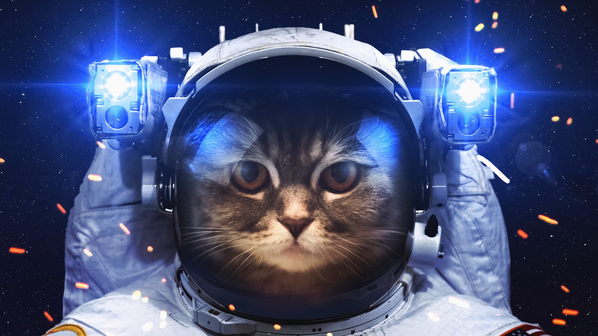 宇航员 猫 太空 艺术 创意 宇宙 星空 科幻 电脑 壁纸 6144×4088