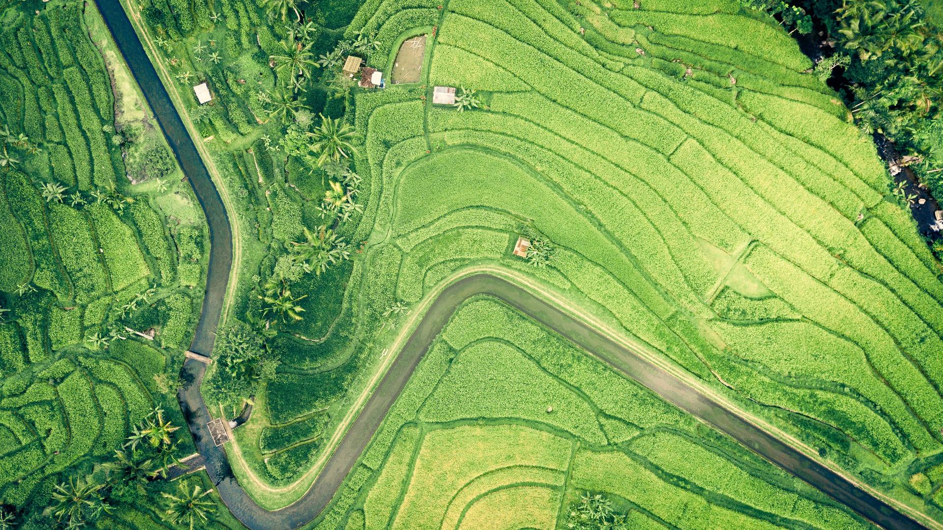 自然 水 风景 田野 鸟瞰 绿色 电脑 4K壁纸 3877×2906