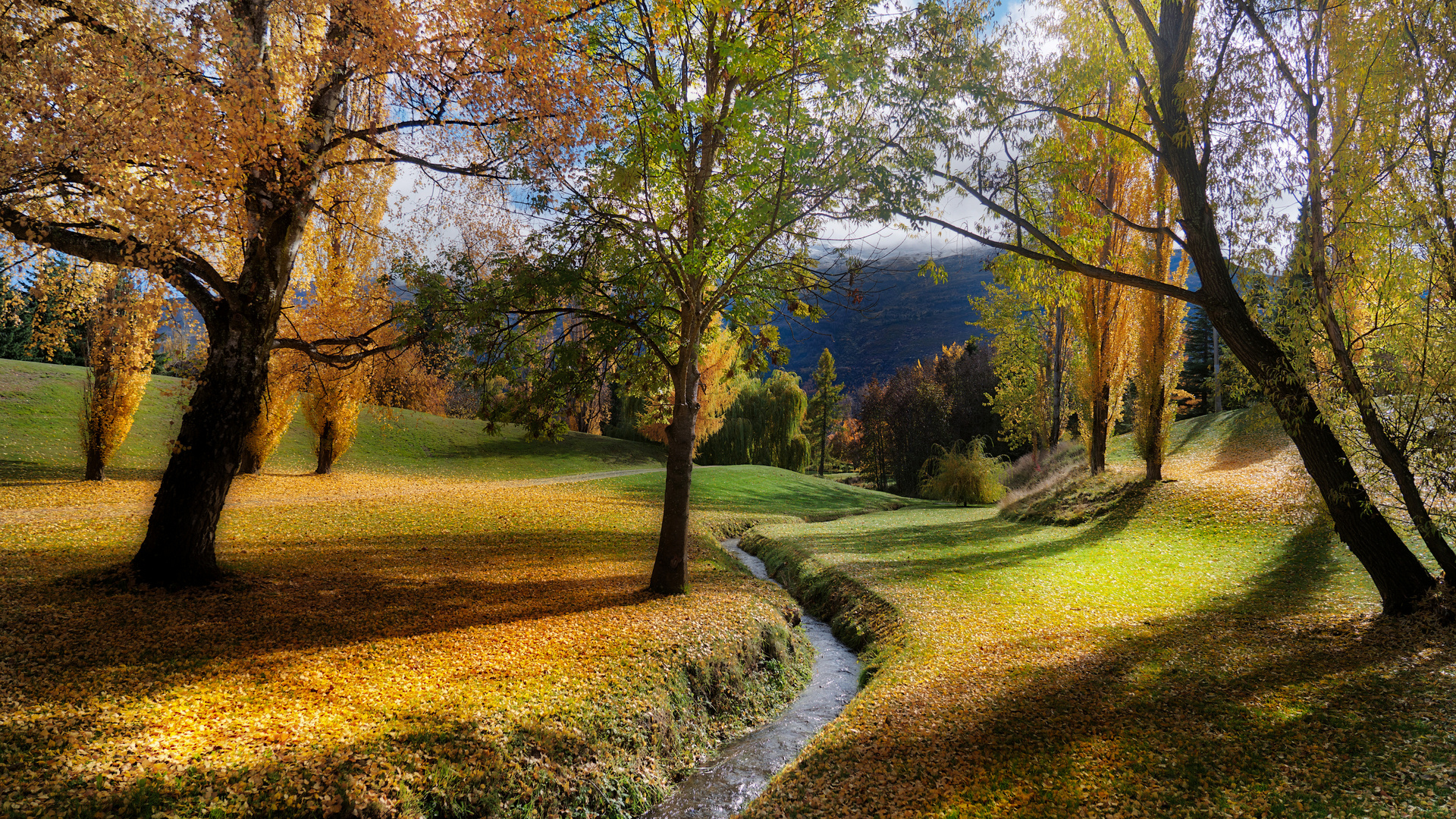 风景 溪流 田野 树木 秋天 箭头镇 新西兰 自然 电脑 壁纸 3840×2160