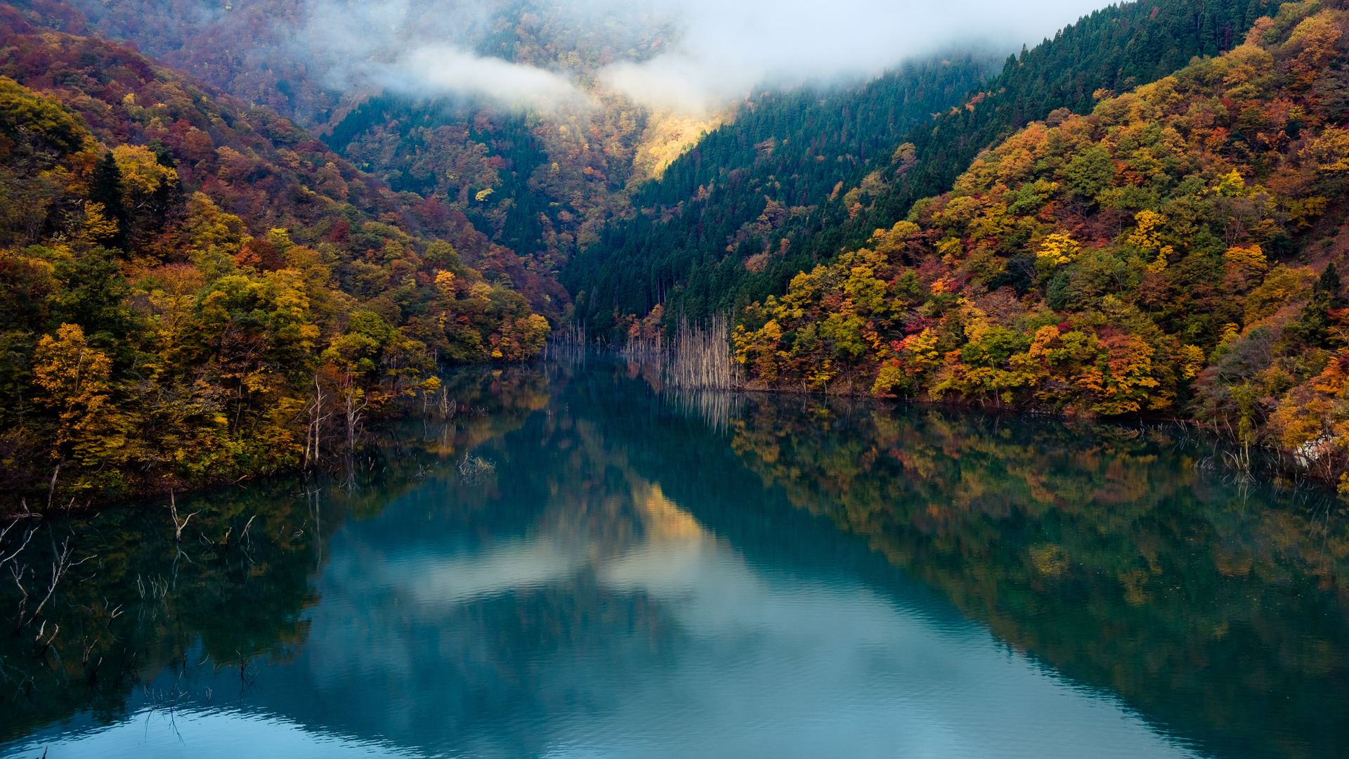 森林 河流 水 自然 风景 云 电脑 无水印壁纸 5863×3909