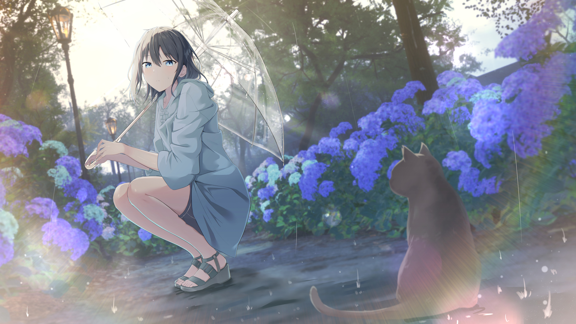 热门头发 蓝色 眼睛 动漫 女孩 雨 动物 花 户外 猫 电脑 高清壁纸 4374×2454
