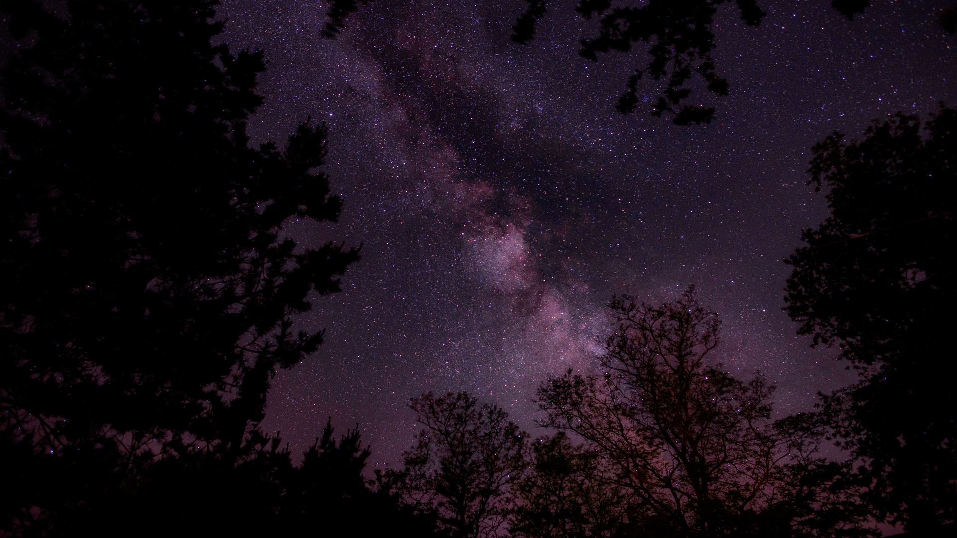 唯美自然 树木 天空 星星 景观 夜晚 电脑 无水印壁纸 6016×4016