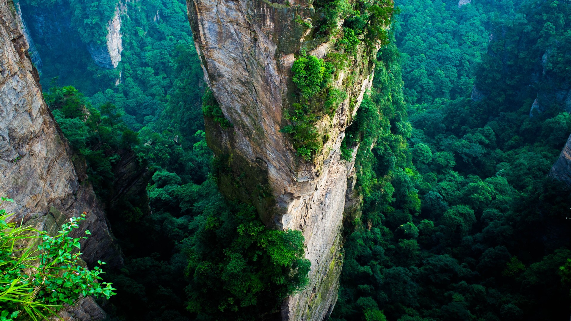 绝美森林 中国 悬崖 山 绿色 夏天 国家 公园 自然 景观 鸟瞰图 电脑 桌面壁纸 4112×2731
