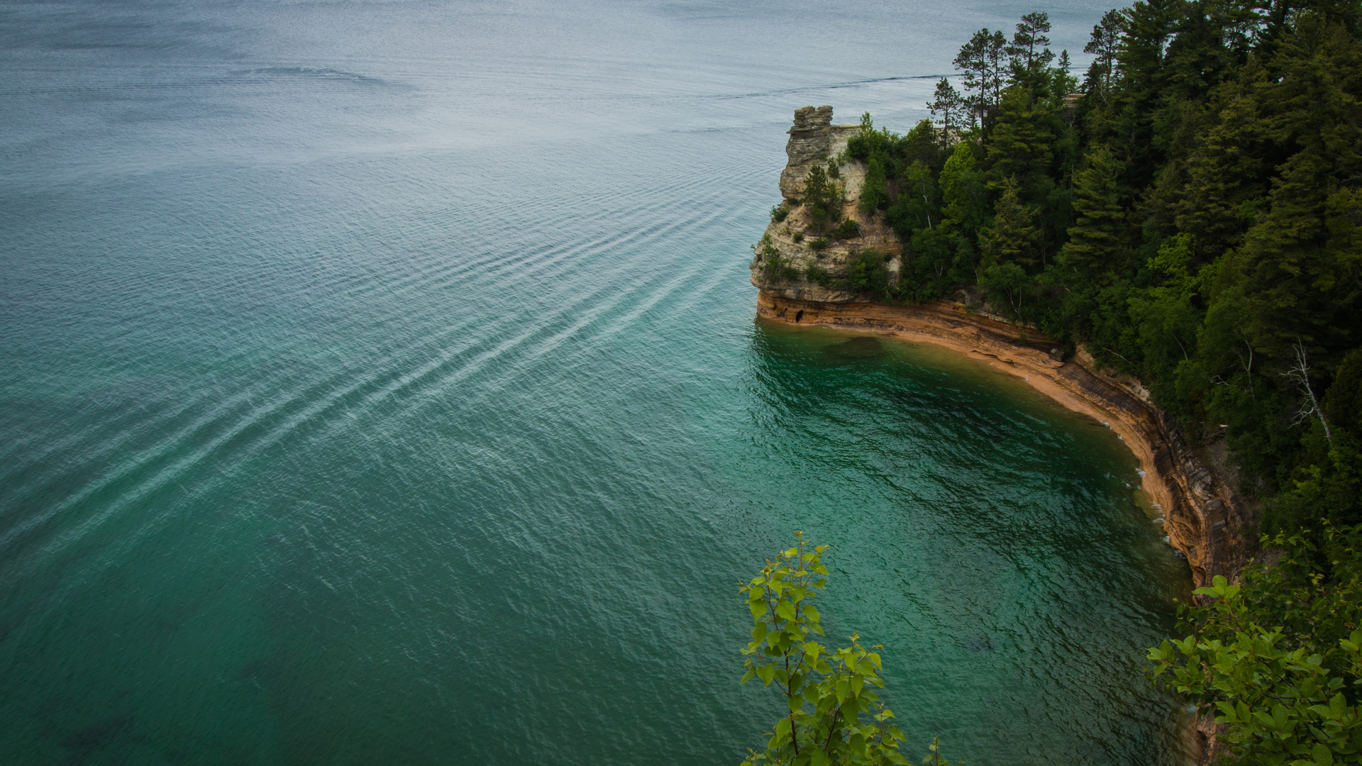 树 水 自然 海岸 波浪 电脑 4K高清壁纸 4757×3171