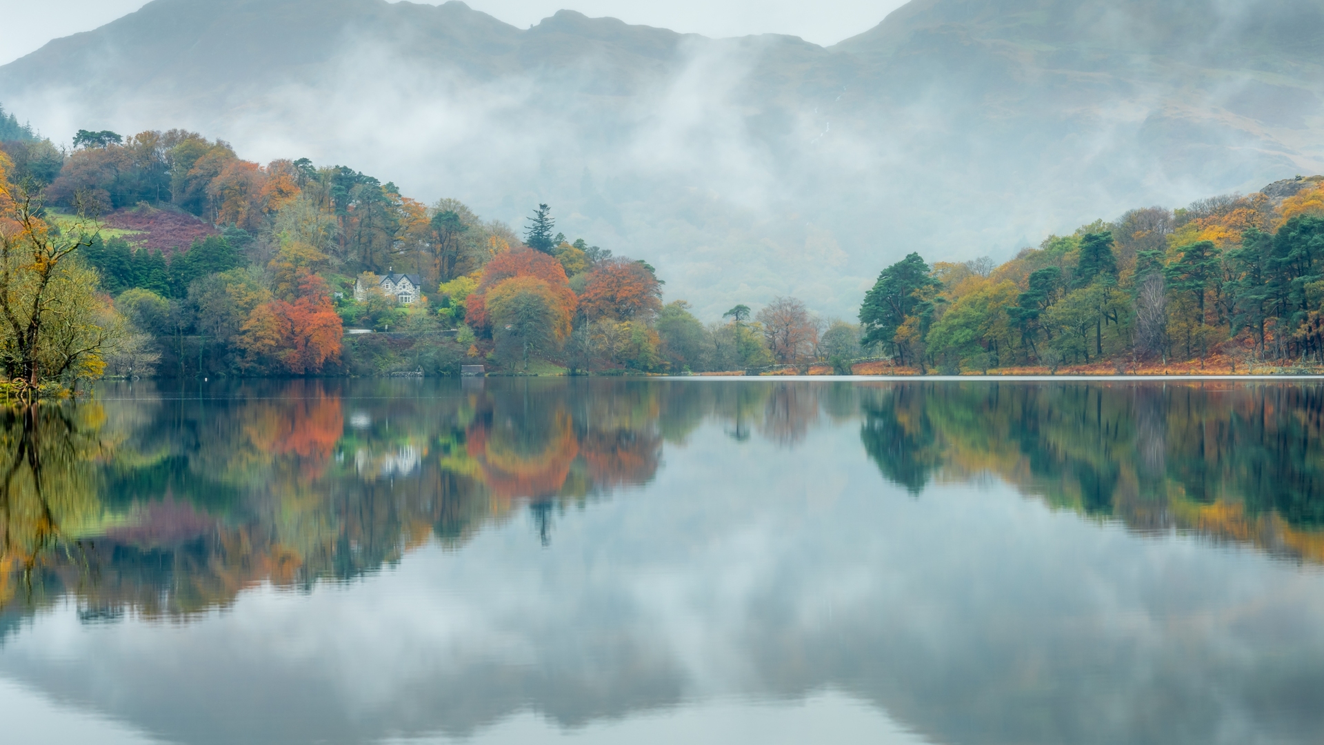 热门风景 自然 水 森林 秋天 湖泊 倒影 树木 电脑 高清壁纸 4000×2249