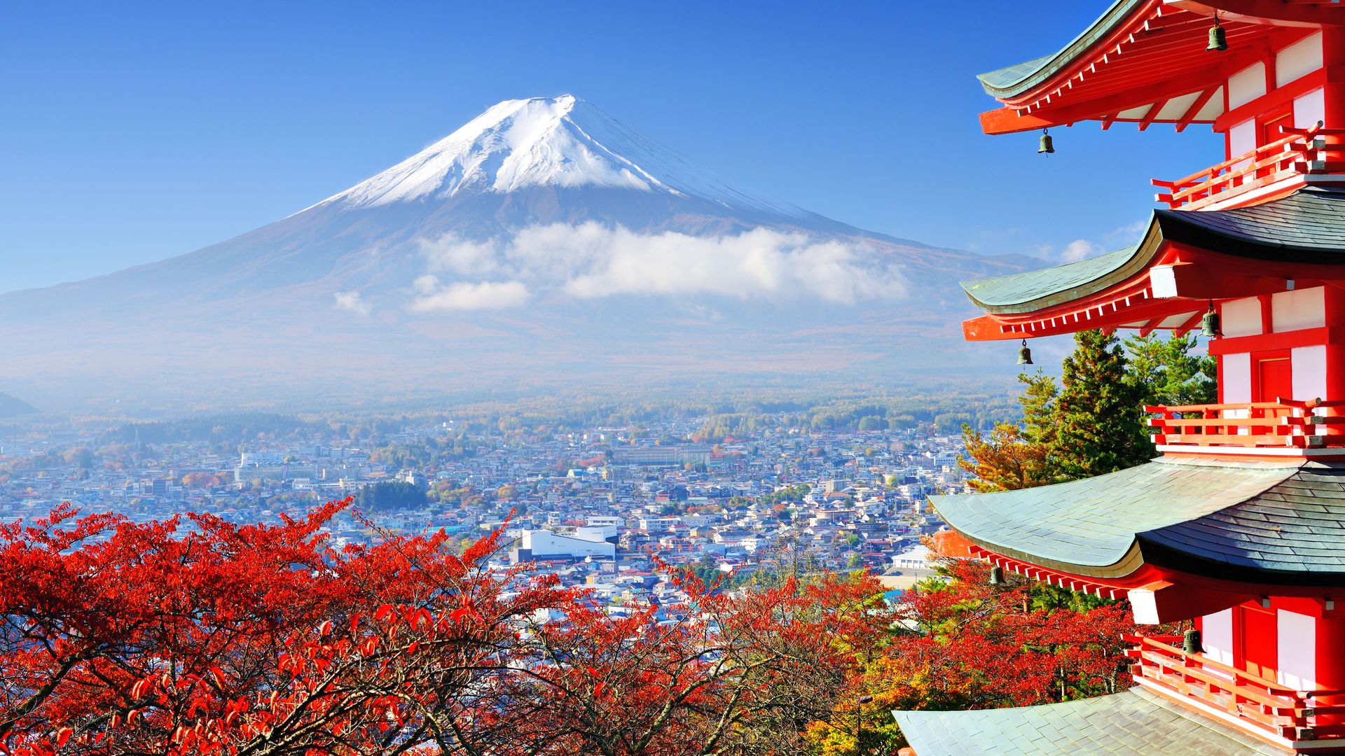天际线 富士山 火山 风景 建筑 樱花 电脑 壁纸 6000×4004