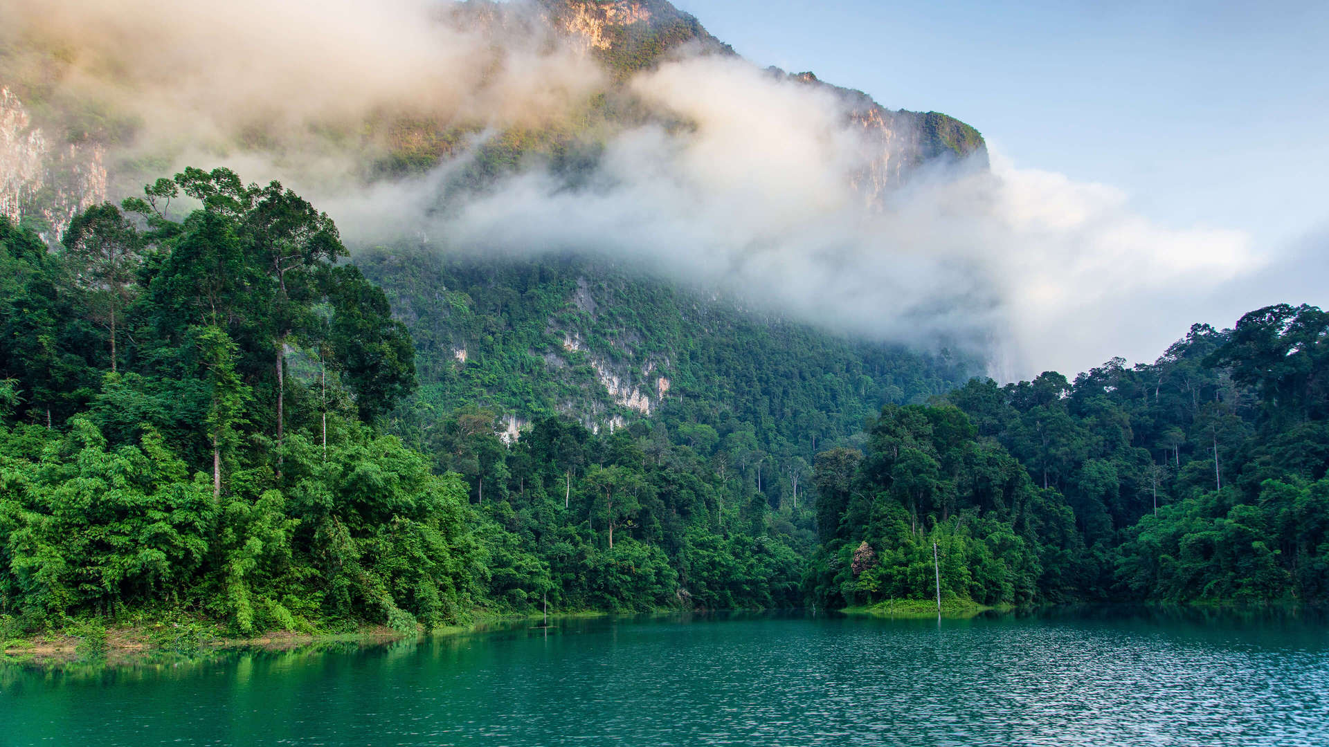 河流 河边 风景 云 自然 水 树 电脑 壁纸 3840×2160