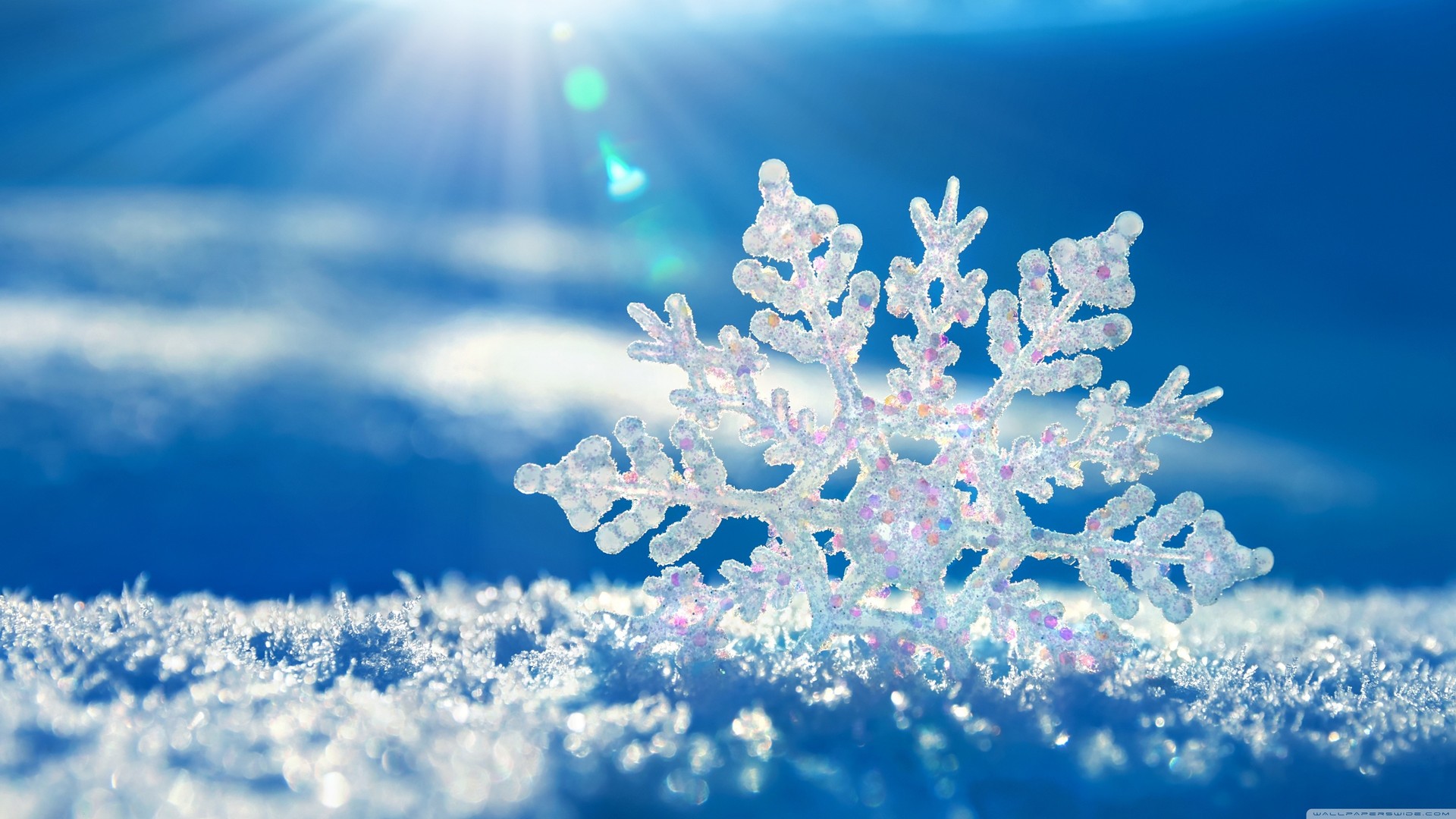 超清雪花 冬季 微距 雪 蓝色背景 霜冻 寒冷 冰 阳光 冰晶 电脑 高清壁纸 3840×2160