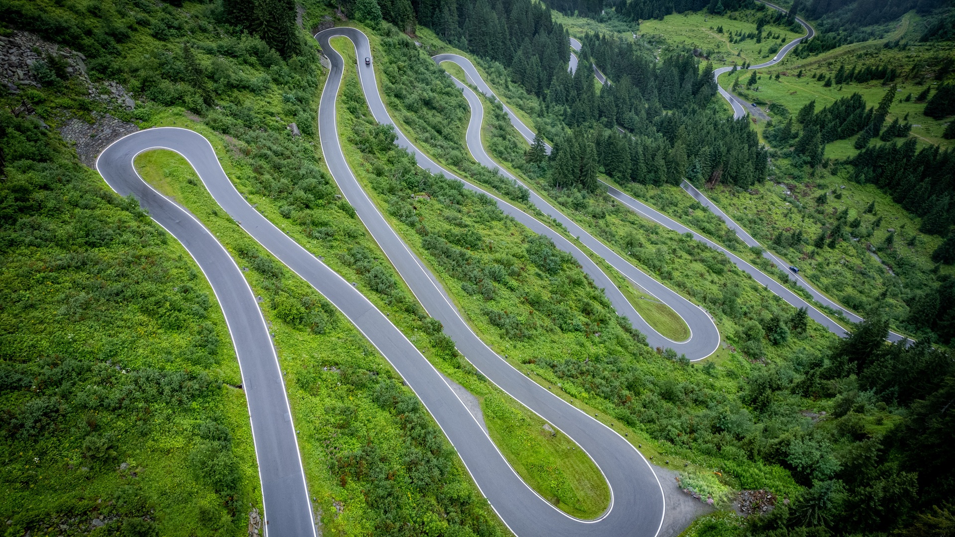 道路 森林 树木 绿色 山脉 自然 风景 丘陵 草地 户外 4K壁纸 5464×3640