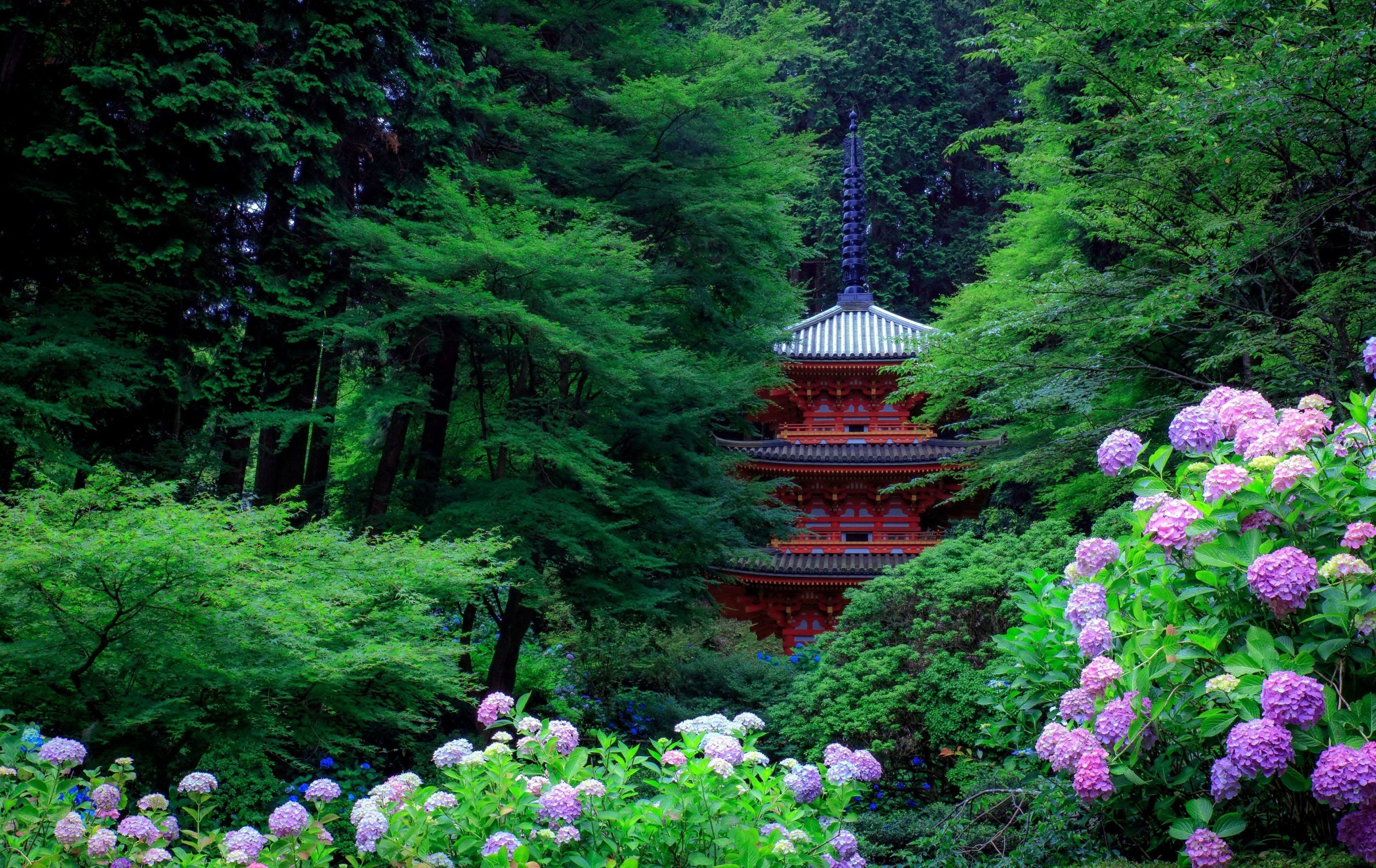 亚洲建筑 树木 森林 植物 花 叶 绣球 壁纸 3840×2423