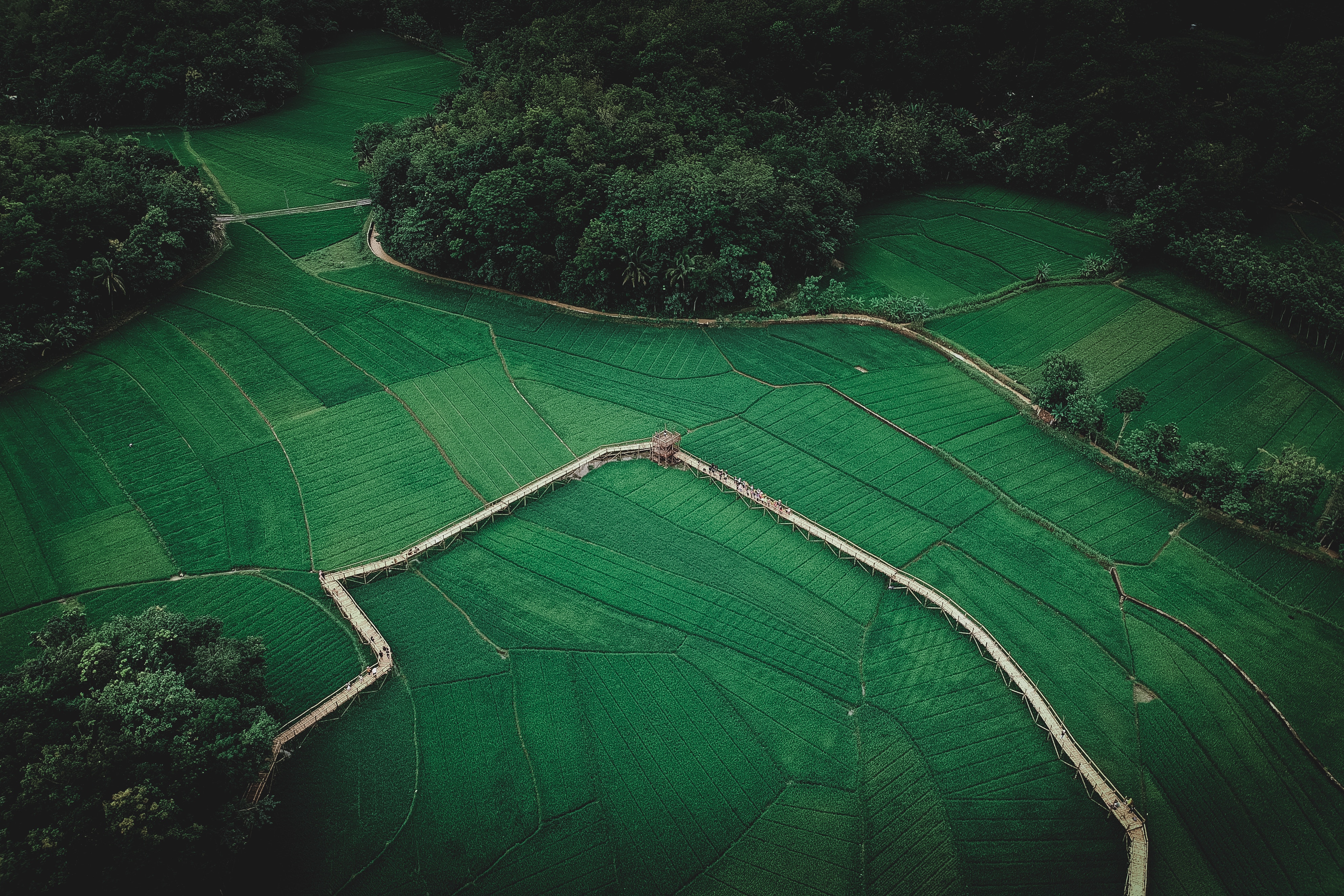 超清风景 鸟瞰 农场 树木 田野 草地 森林 自然 远景 绿色 4K壁纸 3968×2645