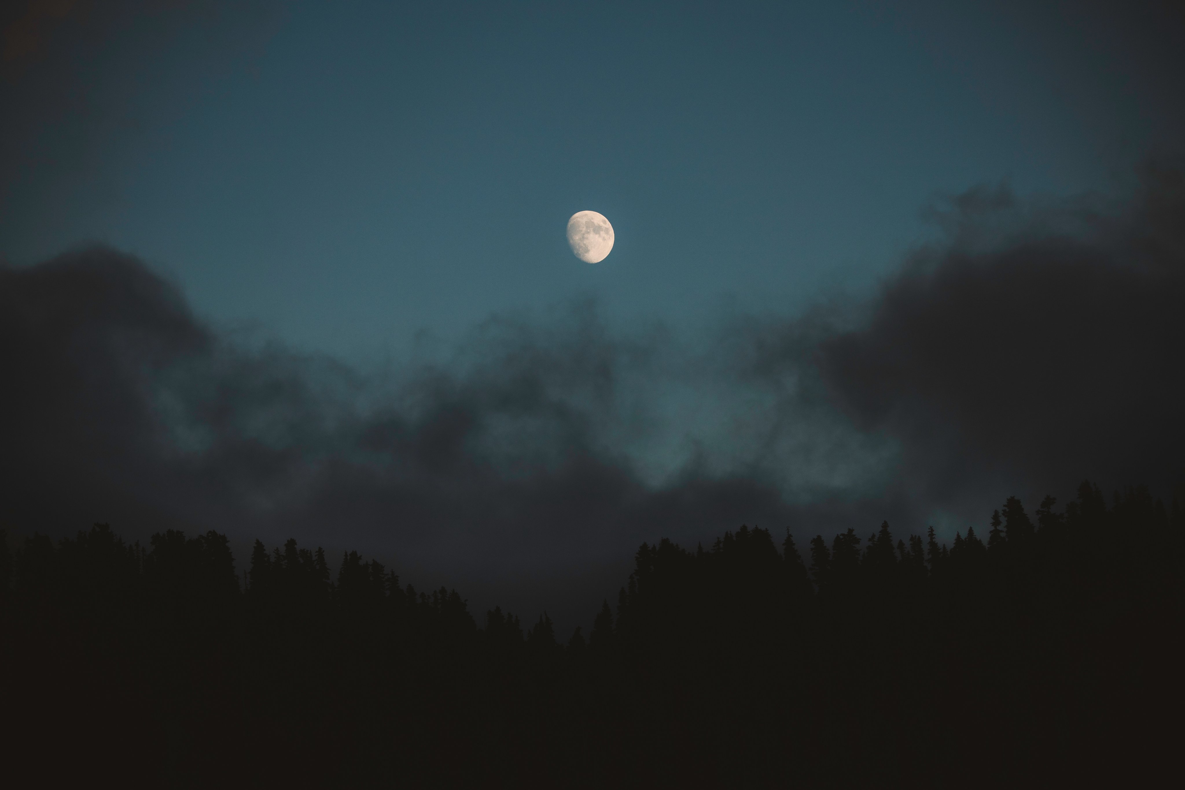 超清自然 云彩 松树 森林 月亮 月光 夜晚 天空 壁纸 4096×2731