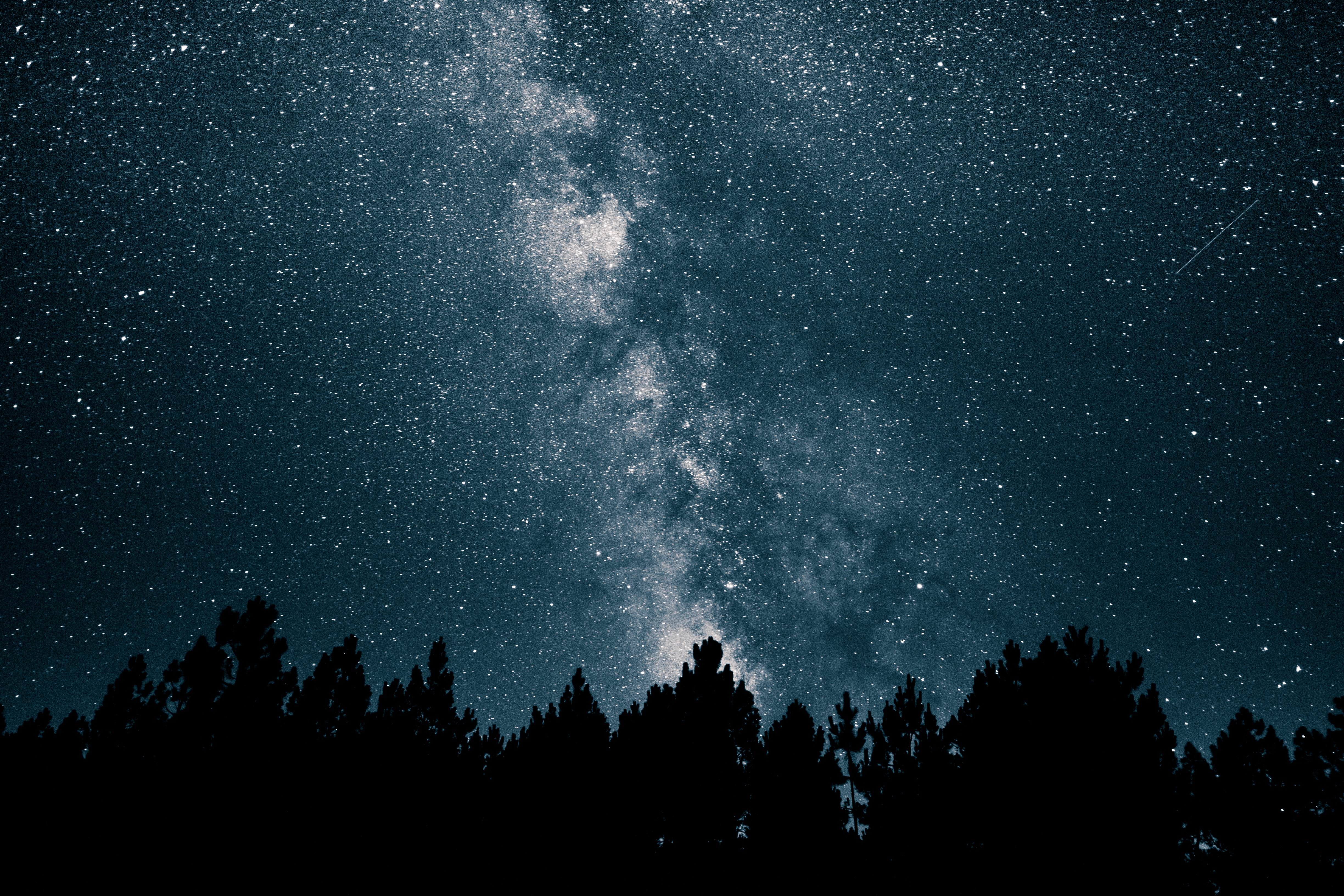 夜晚 天空 繁星 夜 夜空 蓝色 银河 树木 黑暗 黑色 天文 星云 彗星 星星 4K高清壁纸 4896×3264