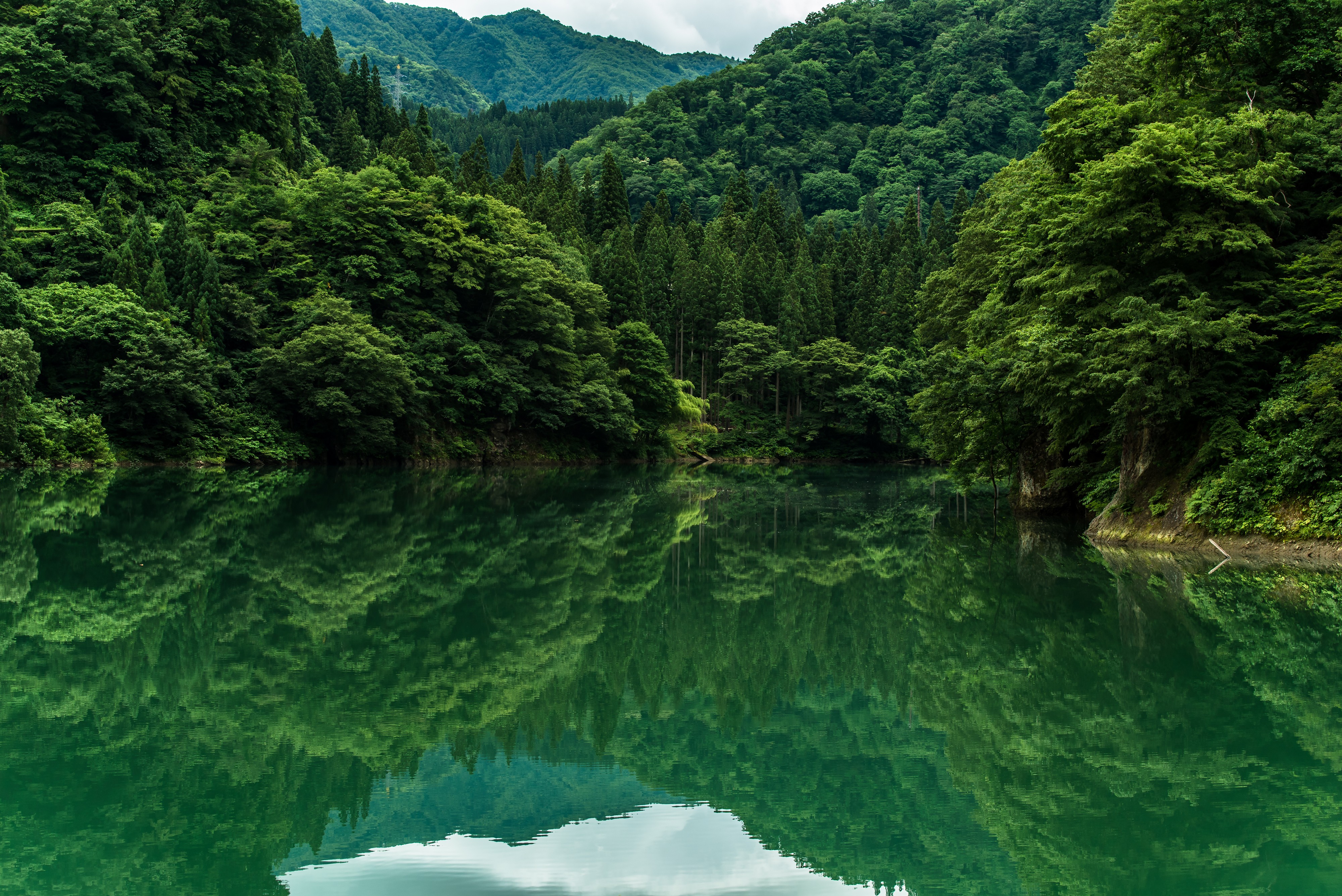 树 山 水 湖 桌面壁纸 4000×2670