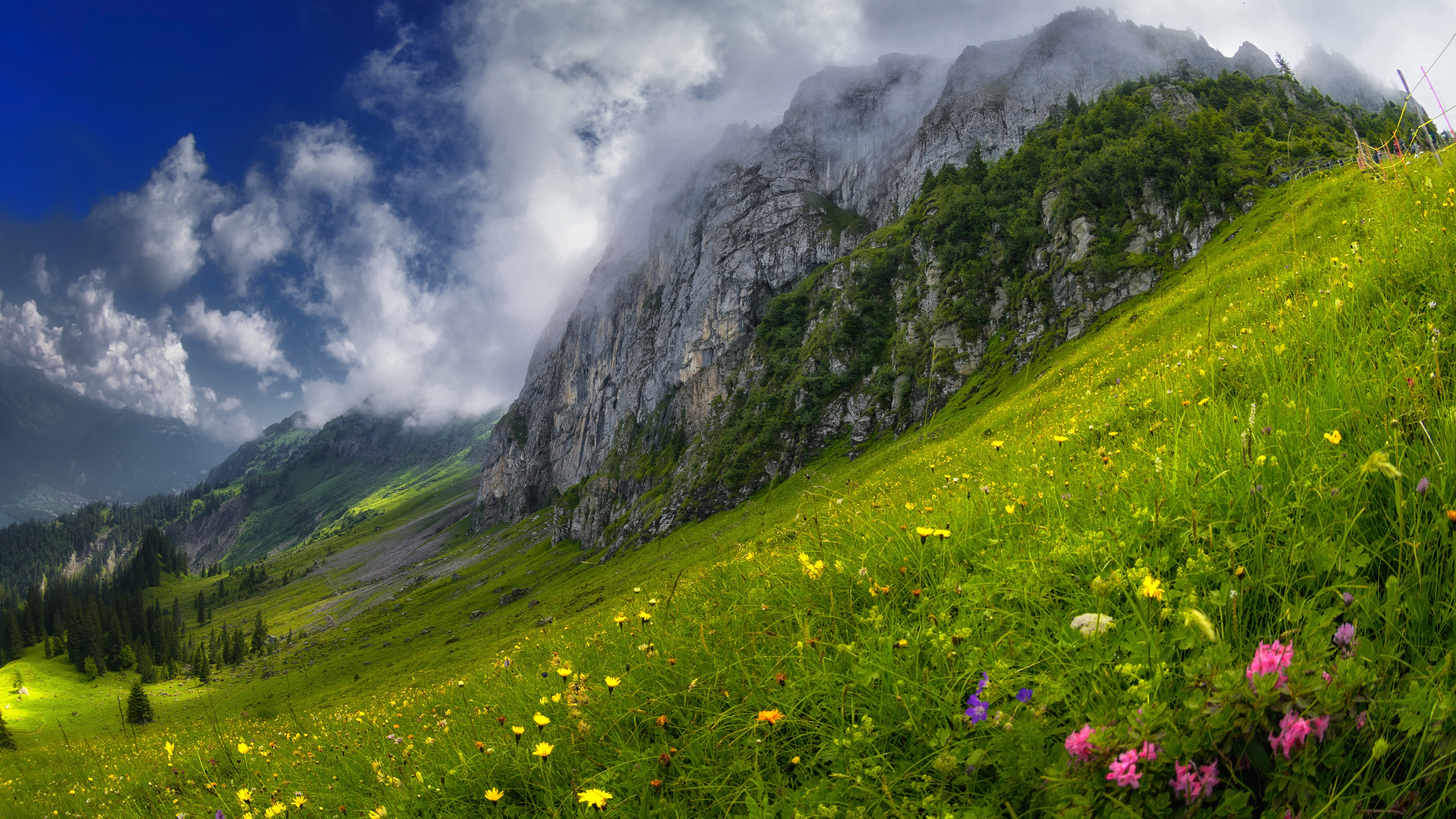 花卉 自然 风景 山脉 无水印壁纸 3840×2160
