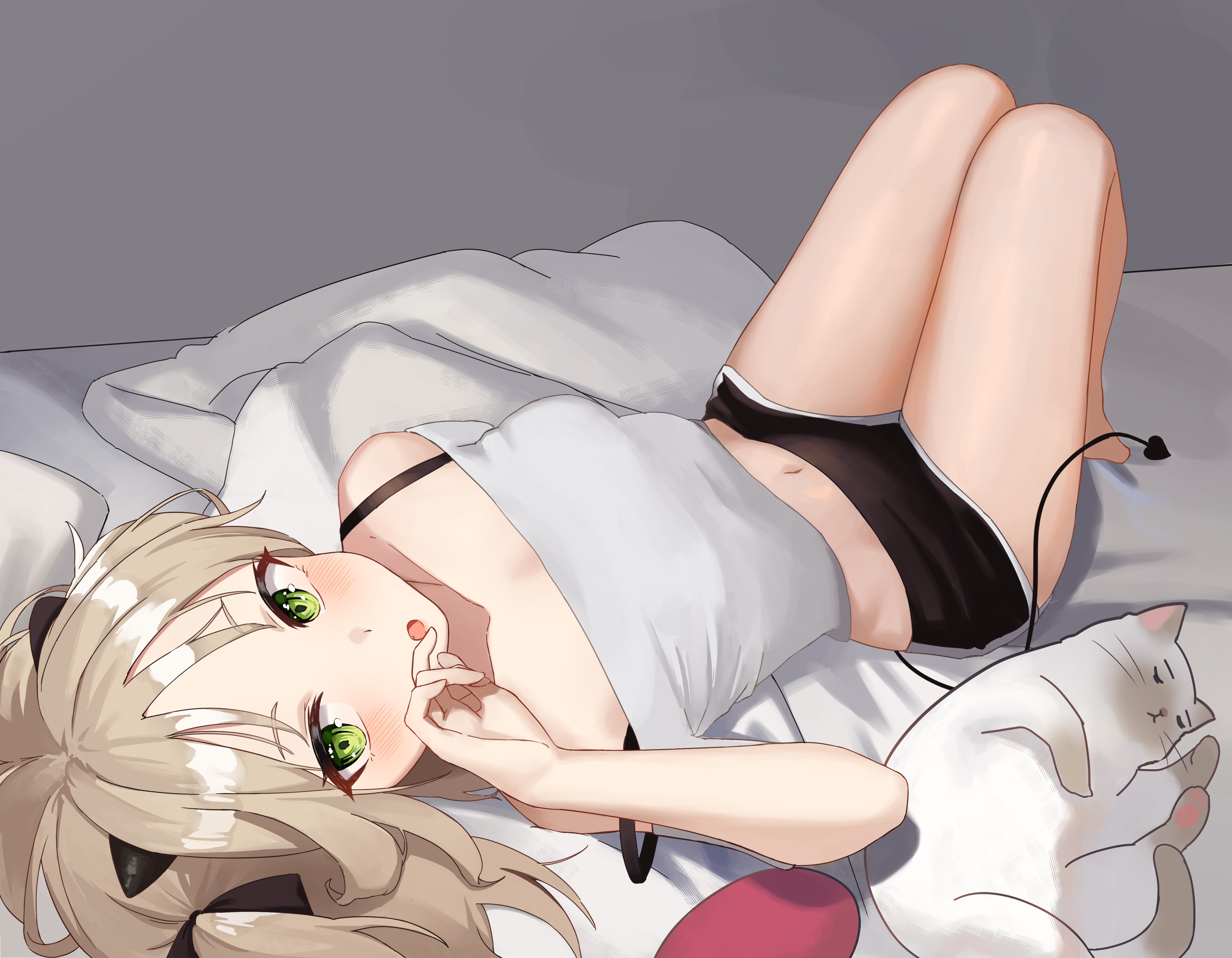 经典恶魔 女孩 动漫 图片 猫 4K壁纸 4026×3131
