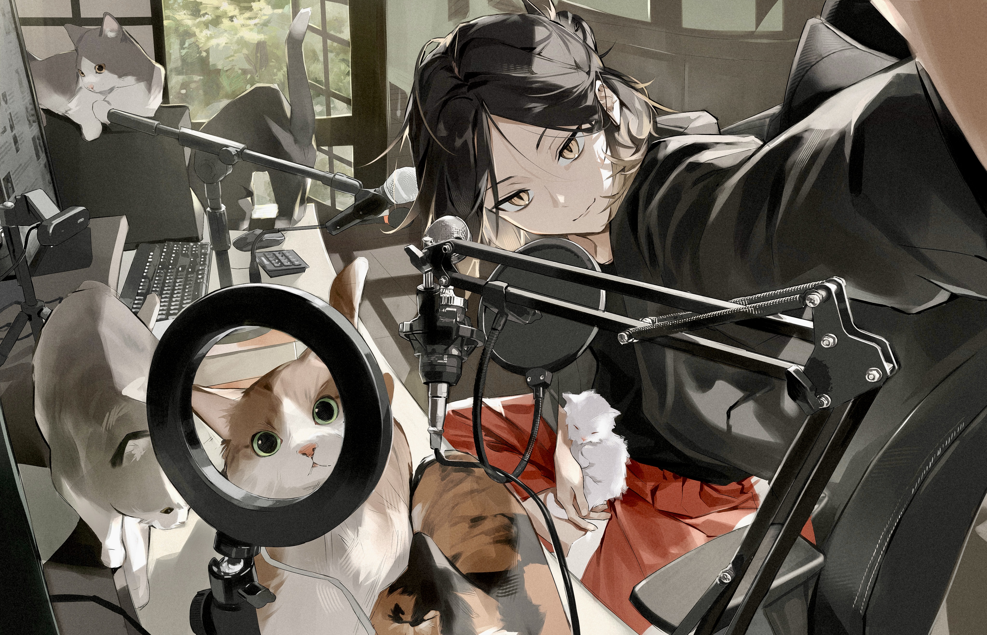 绝美动漫 女孩 猫 手机壁纸 4094×2635