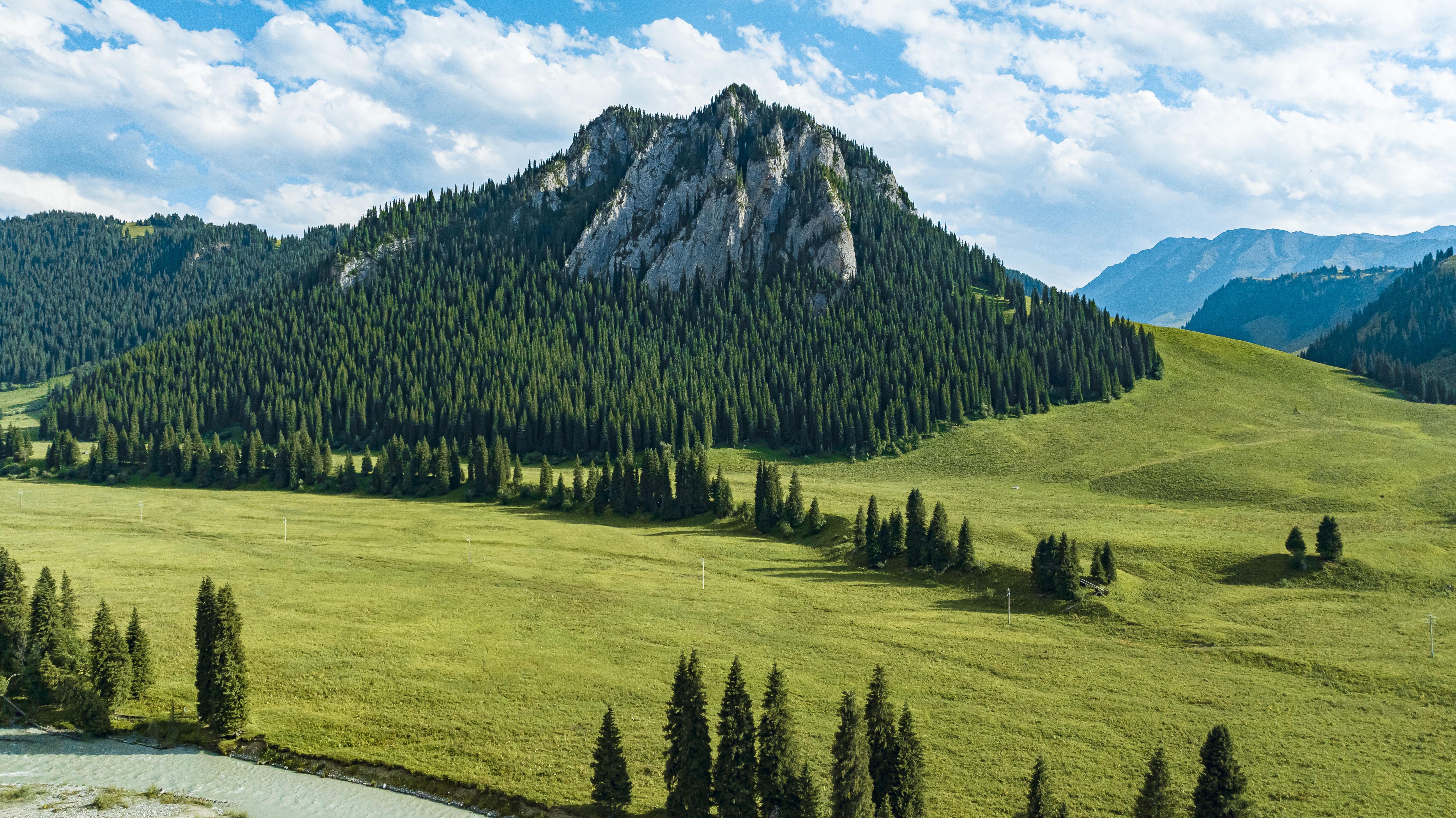 绝美田野 森林 自然 风景 山脉 壁纸 5000×2809