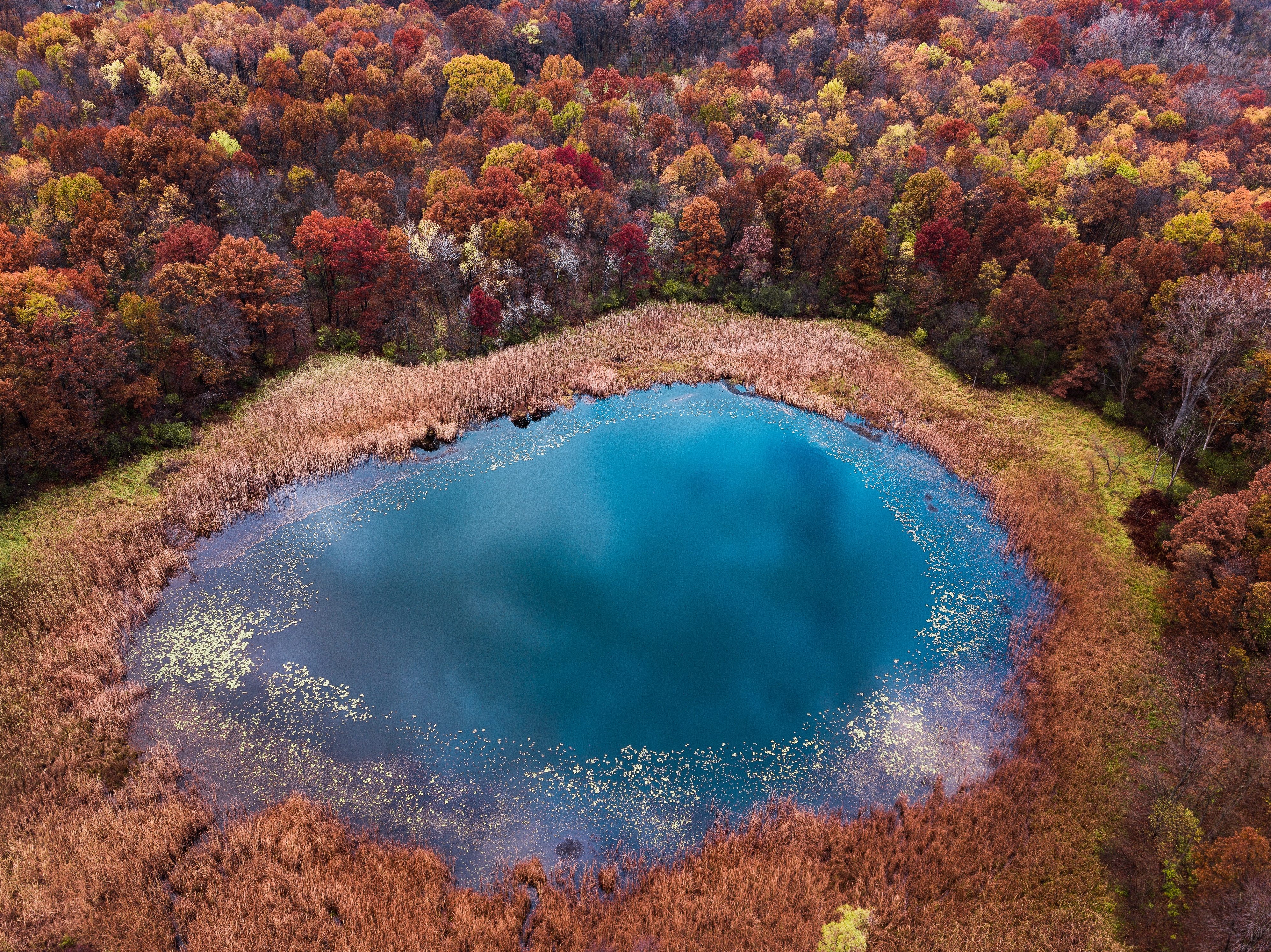 自然 秋天 树木 池塘 水 4K高清壁纸 3990×2989