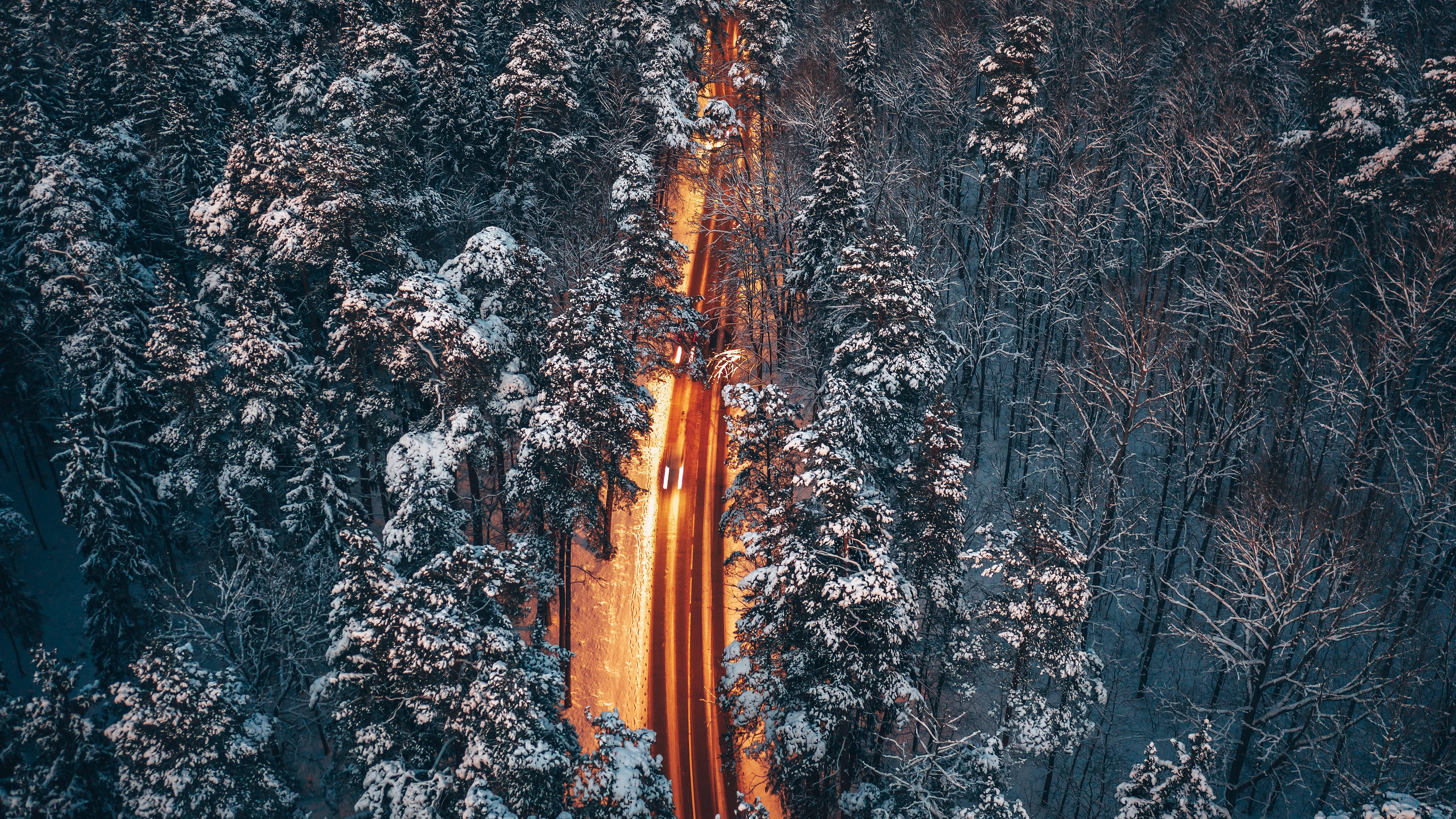 精选道路 树木 雪地 户外 森林 冬季 壁纸 3840×2160