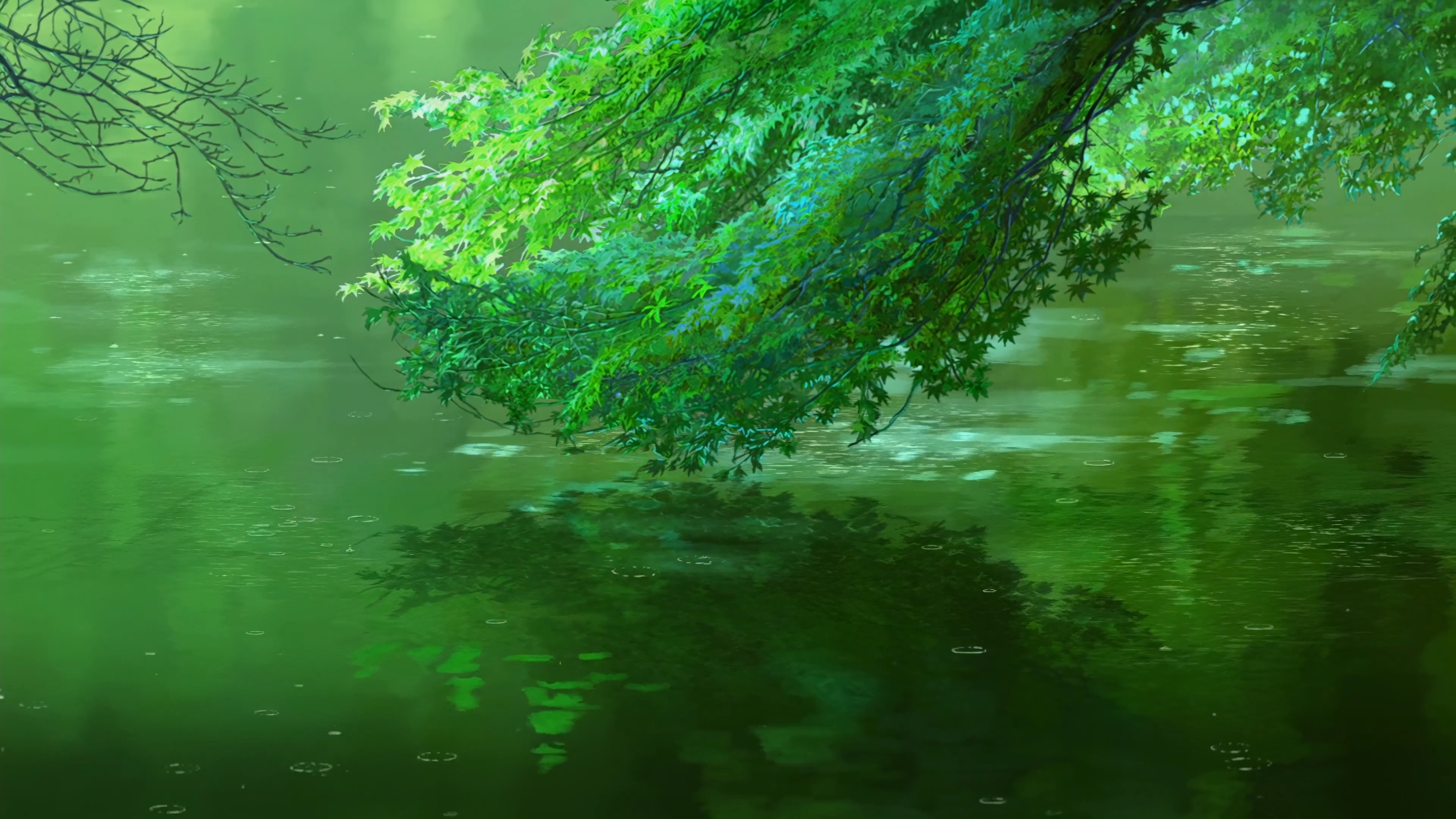 热门新海诚 植物 动画 水 自然 户外 倒影 花园 绿色 高清壁纸 3840×2160