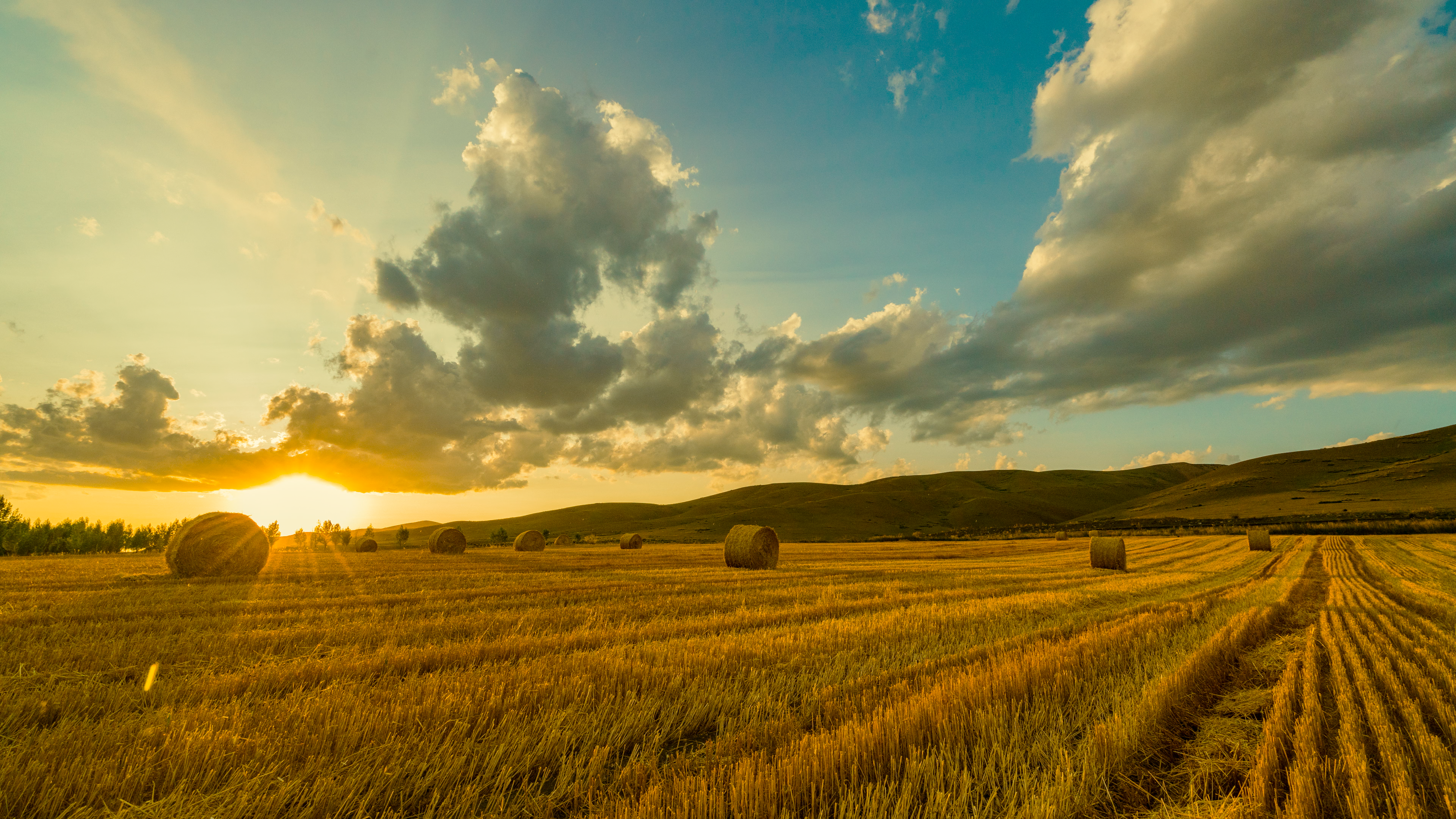 自然 风景 秋收 麦田 夕阳 阳光 4K高清壁纸 3840×2160