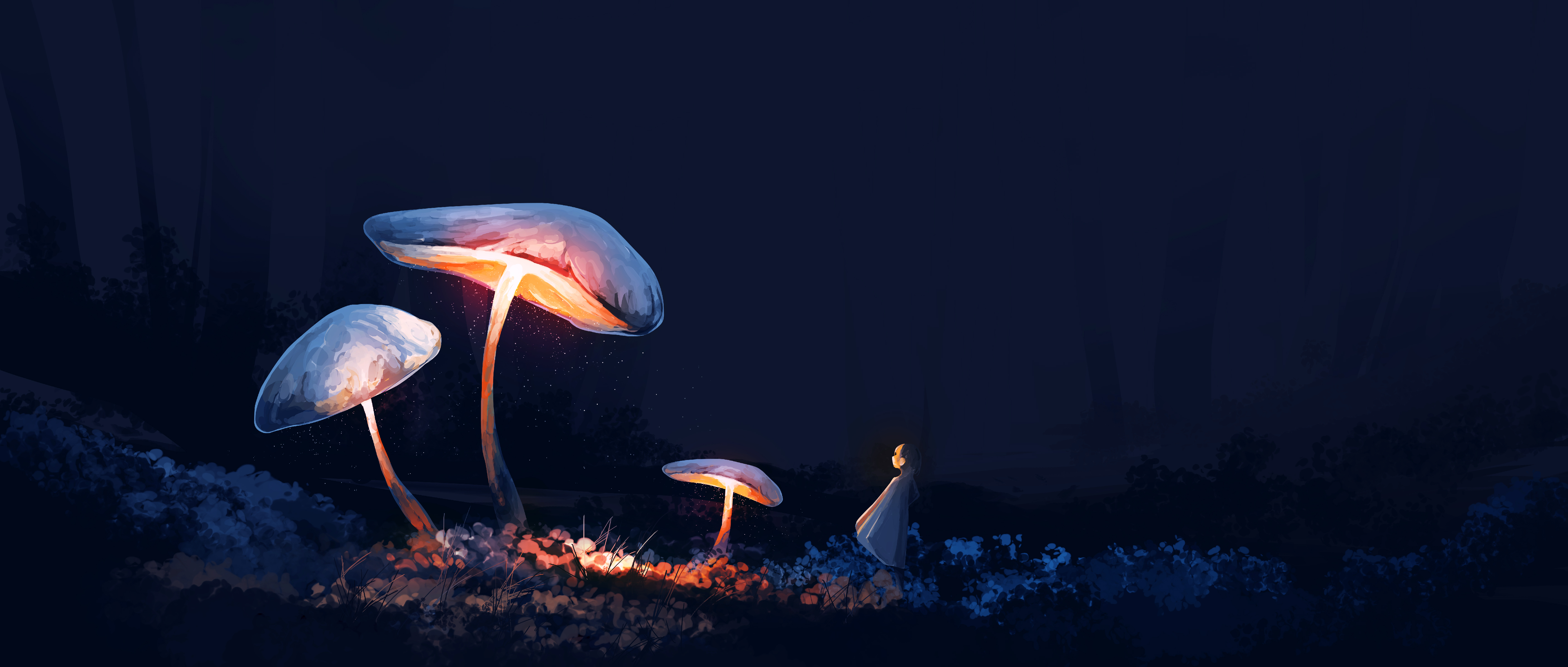 经典动漫 女孩 蘑菇 植物 夜晚 森林 高清壁纸 5640×2400