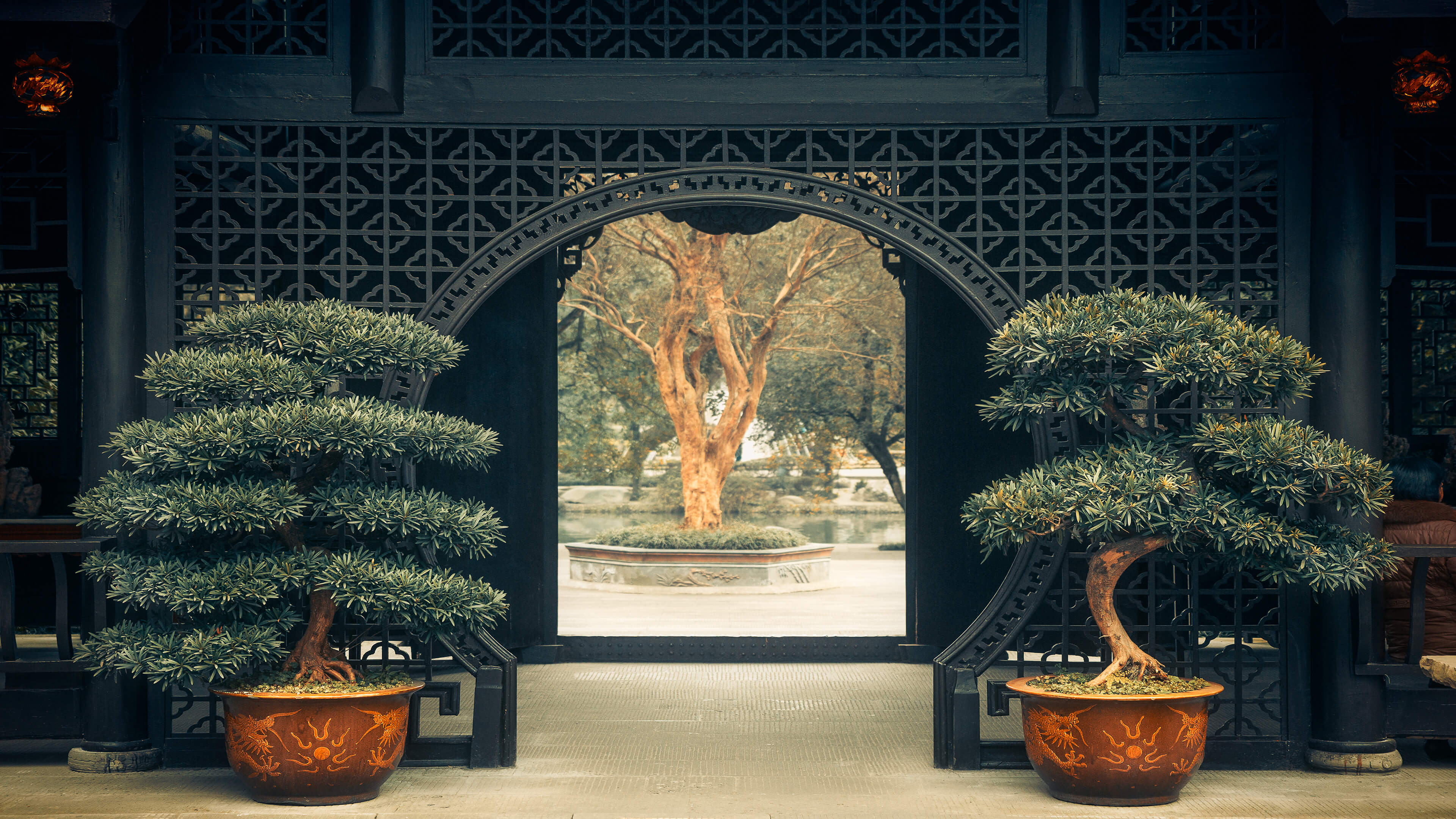 绚丽中国 植物 树木 盆景 建筑 对称 和平 门口 4K壁纸 3840×2160