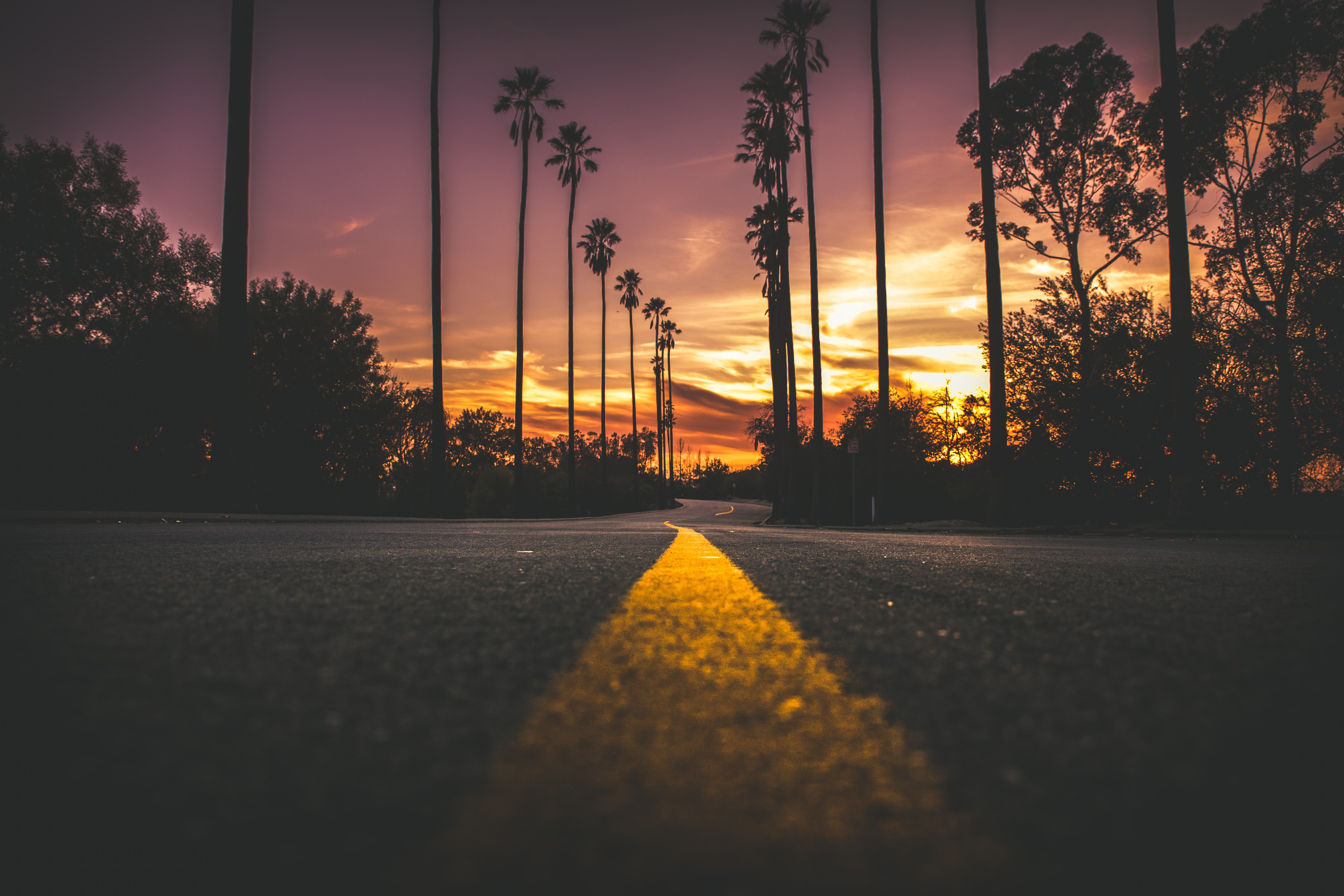 精选风景 自然 道路 夕阳 棕榈树 沥青 剪影 橙色 天空 无水印壁纸 5279×3519