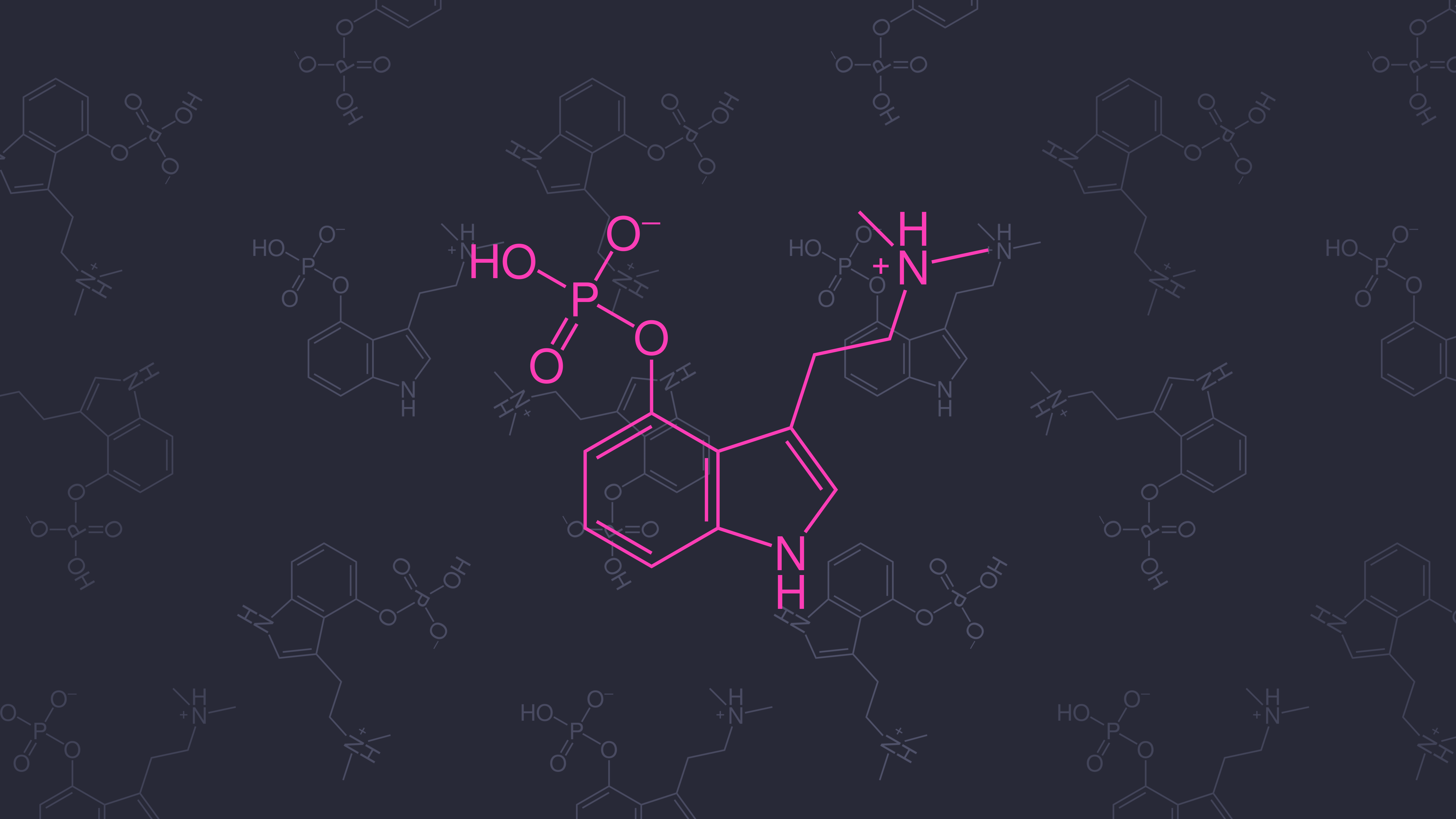 药物 化学 分子模型 迷幻 极简主义 五颜六色 神奇的蘑菇 蘑菇 裸盖菇素 无水印壁纸 5120×2880