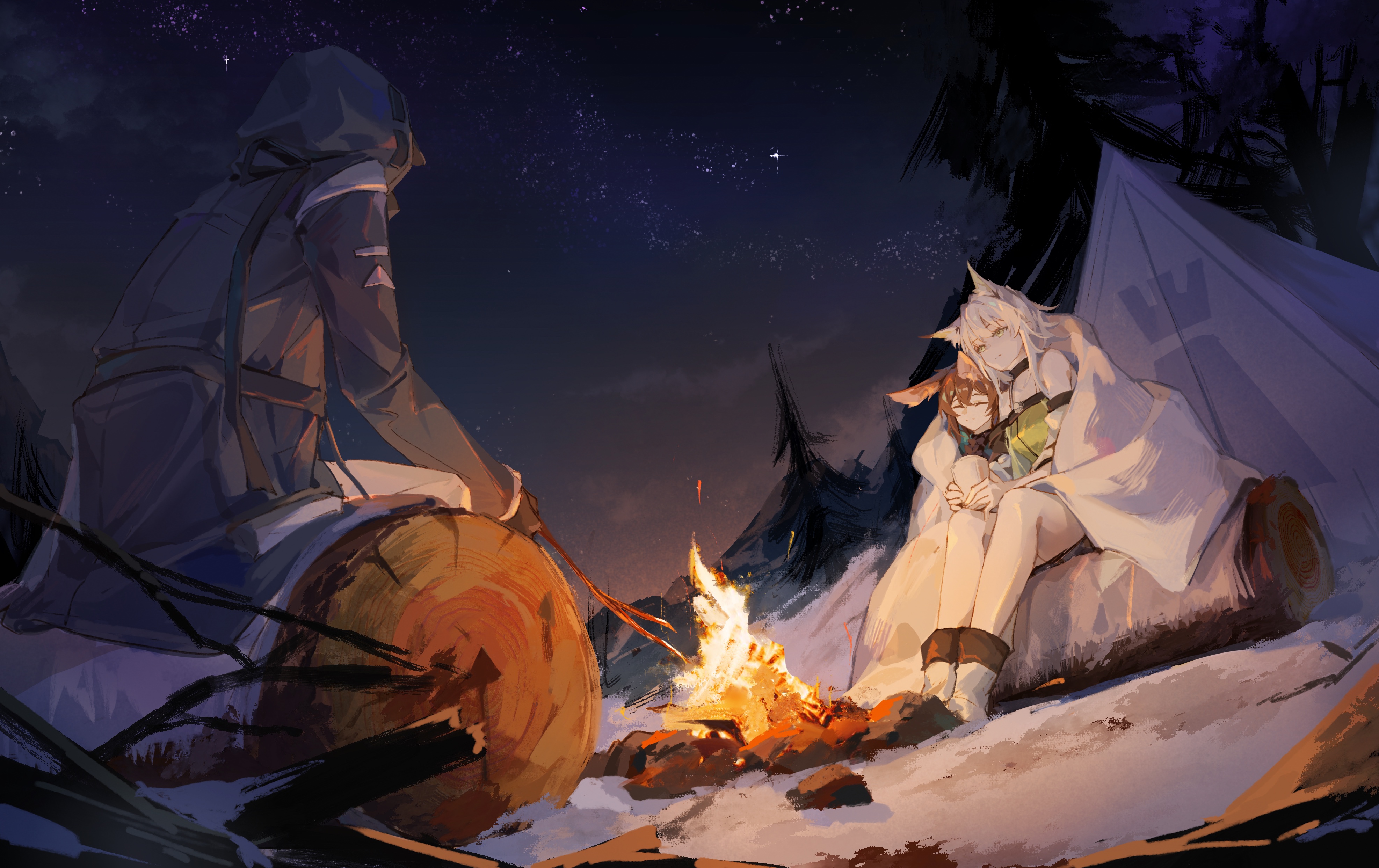 魔域边缘 动漫 女孩 明日方舟 夜晚 露营 壁纸 3947×2485