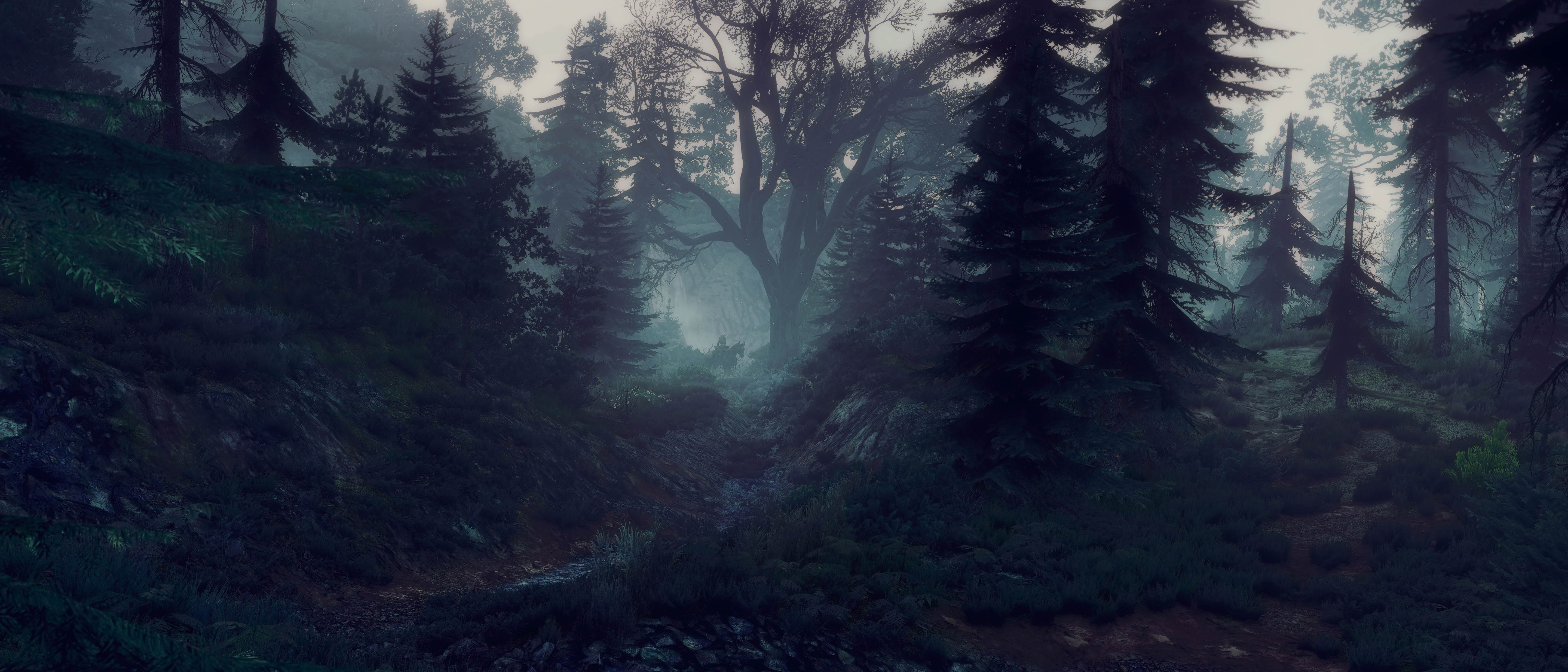 高清巫师 狂野狩猎 风景 手机壁纸 5760×2468