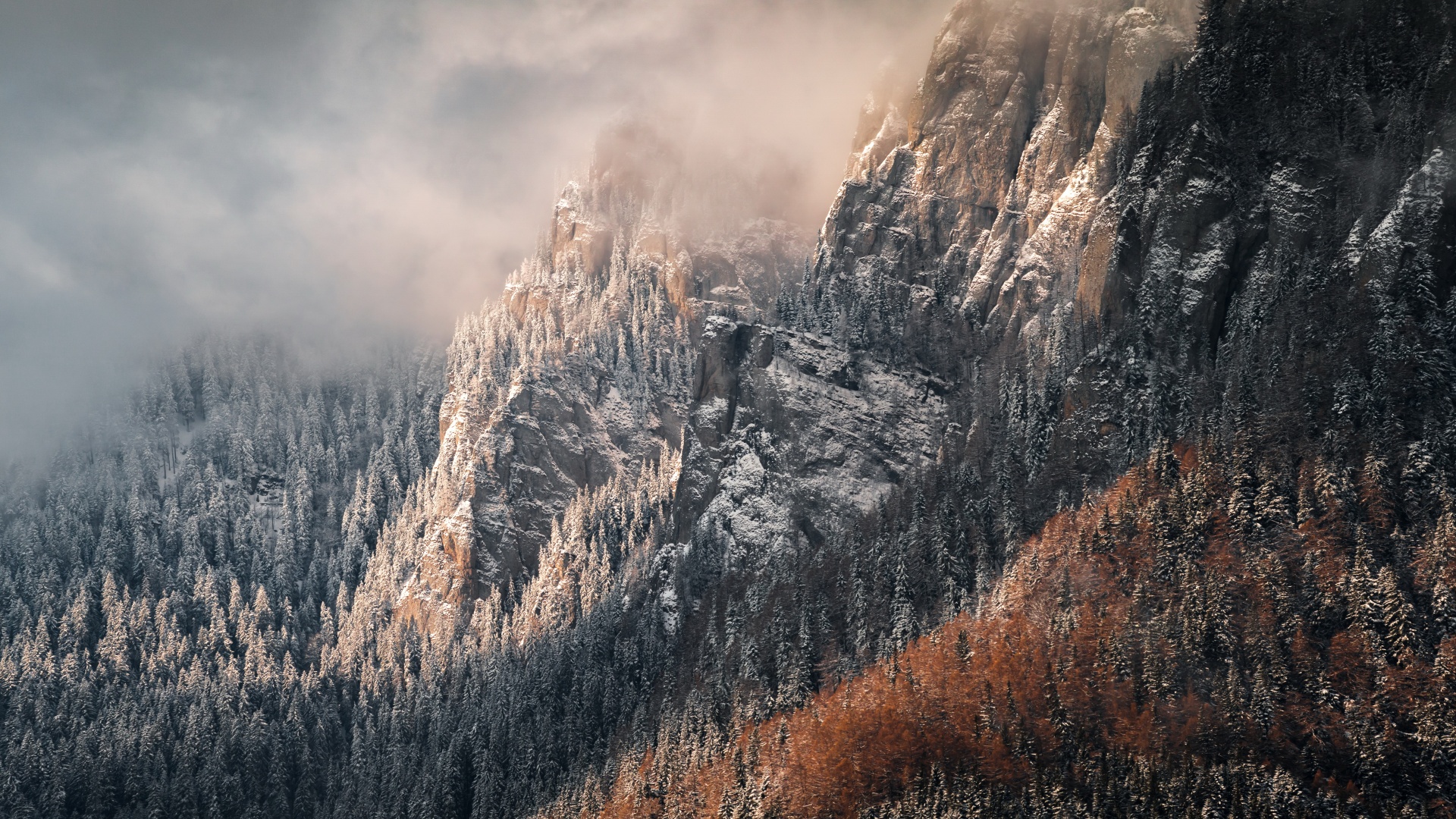 热门景观 山 树木 森林 8纸 高清壁纸 8992×3854