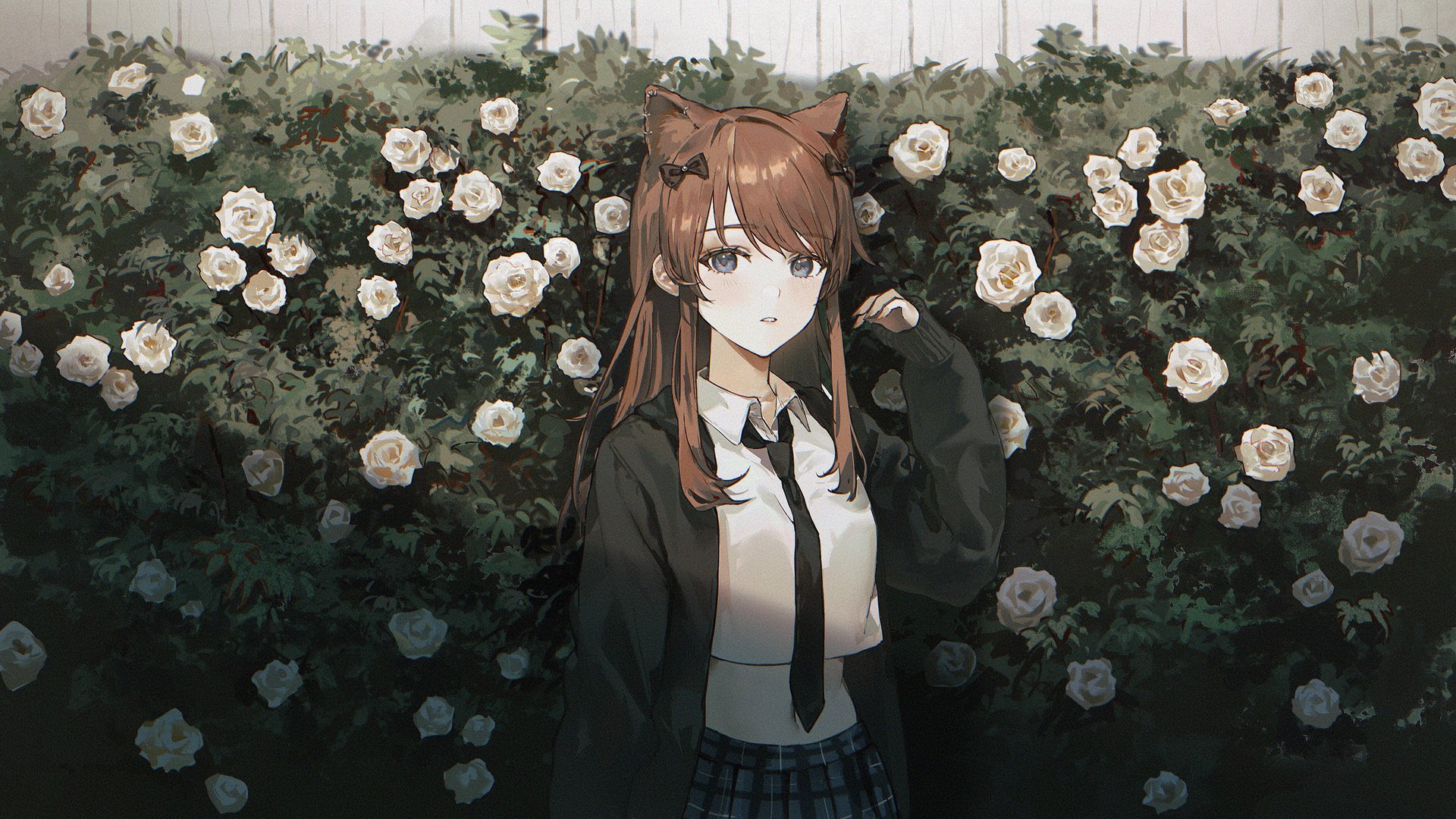 超清猫女孩 白玫瑰 大自然 卡哇伊 裙子 鲜花 无水印壁纸 3840×2160