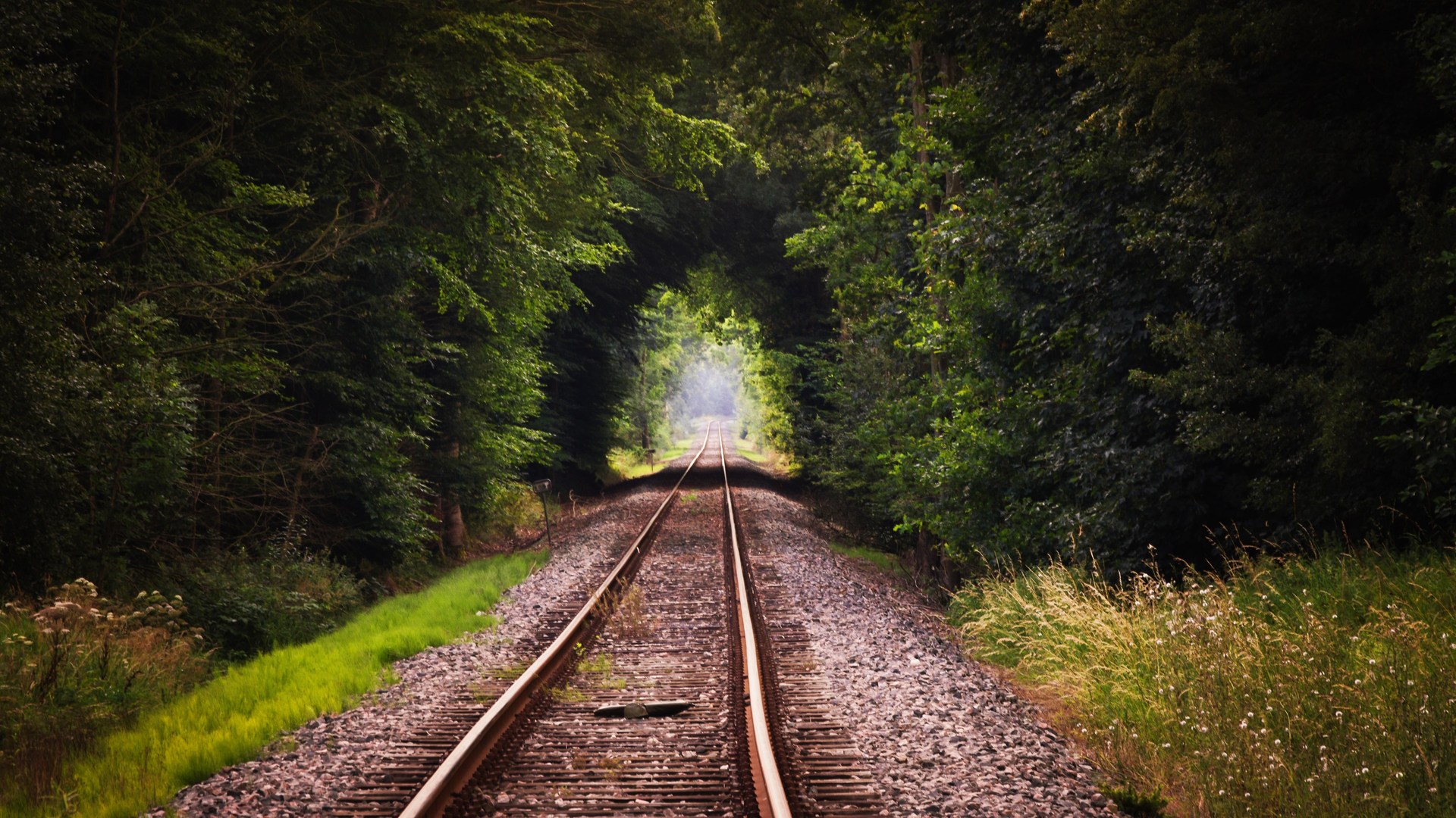 精选荒废的铁路 树木 自然 植物 壁纸 3840×2160