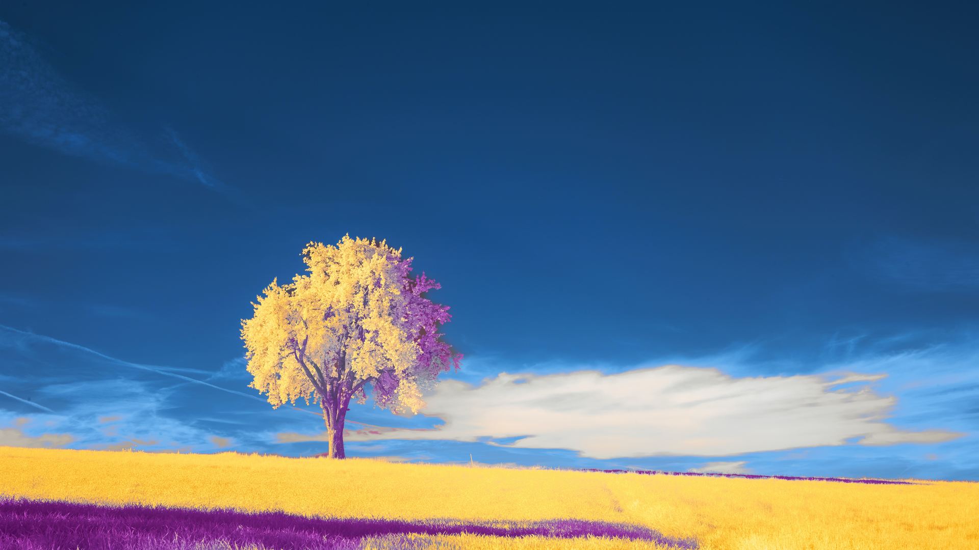自然 风景 绘画 云 天空 树木 电脑 壁纸 6000×4000