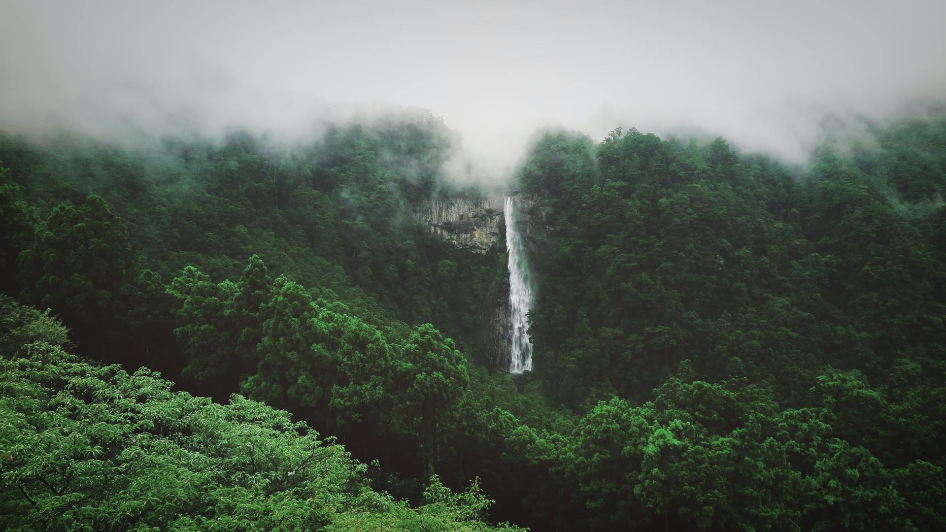 森林 风景 瀑布 薄雾 电脑 4K高清壁纸 4352×2448