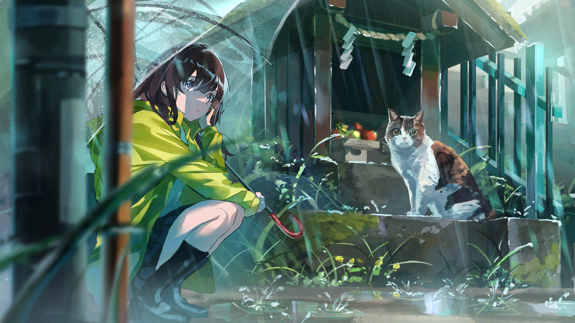 动漫 动漫女孩 猫 雨 伞 电脑 壁纸 3840×2160